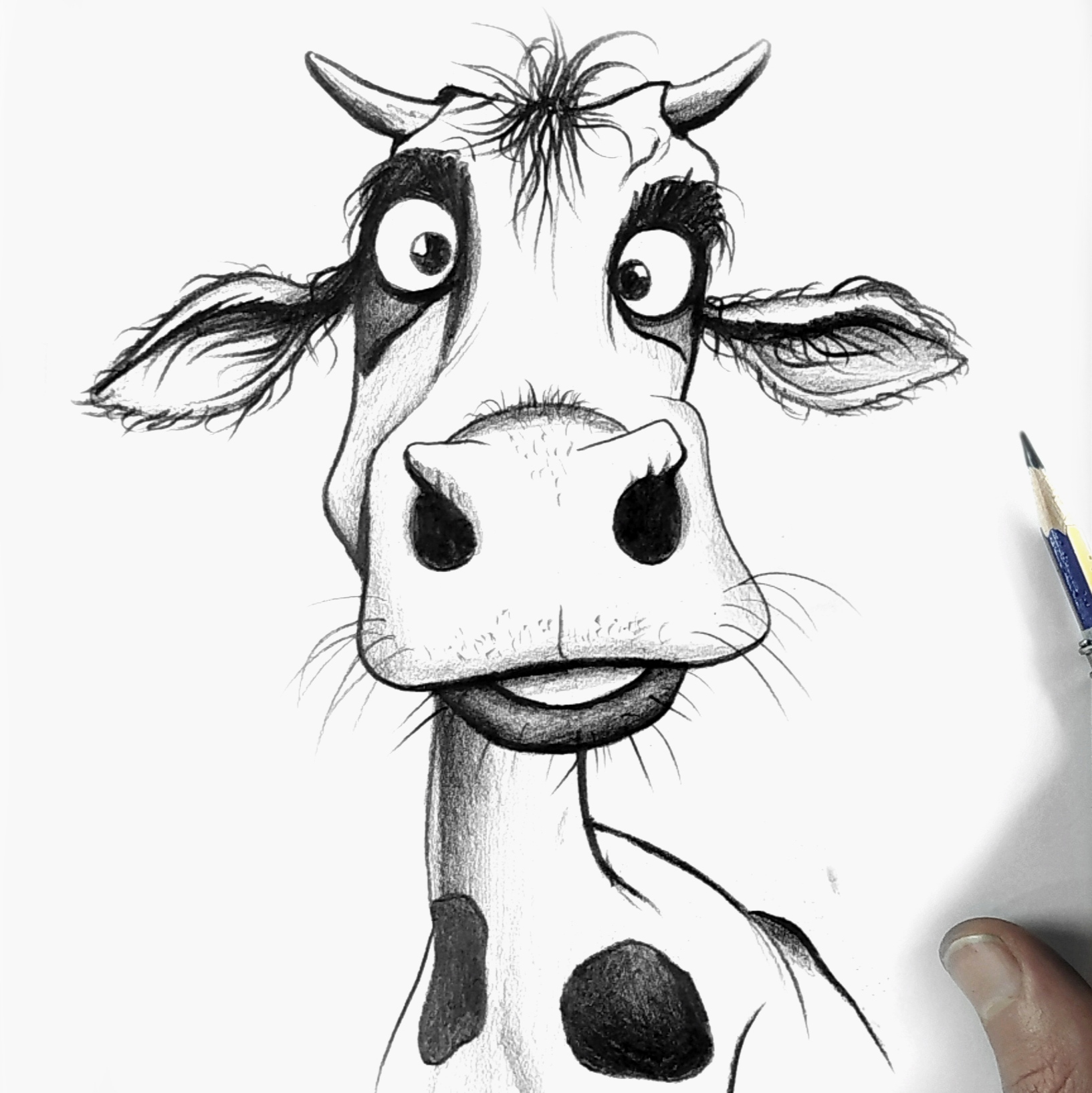 Cow drawing tutorial ـ step by step