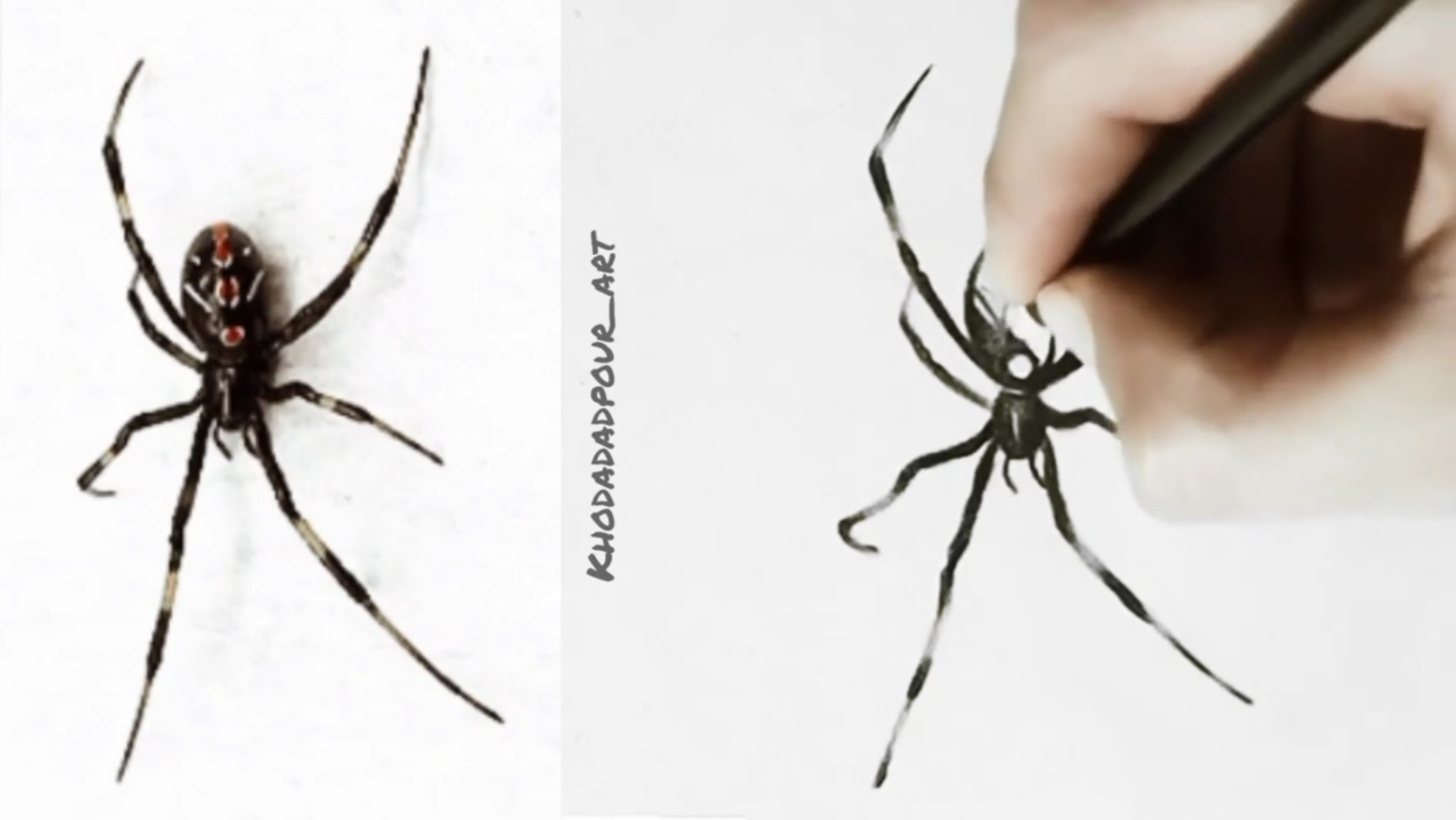 Spider drawing tutorial ـ step by step