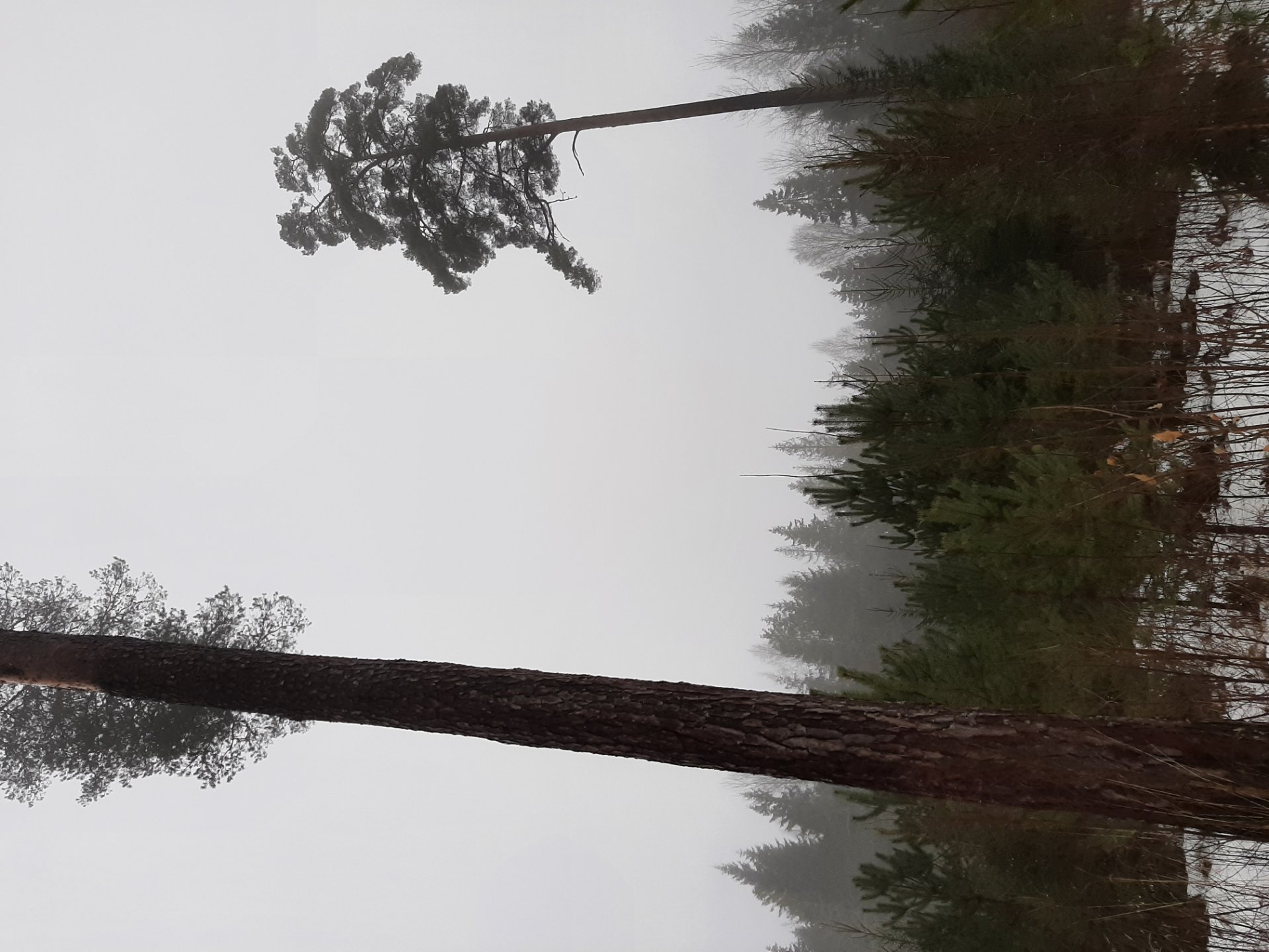 The mud season started quickly