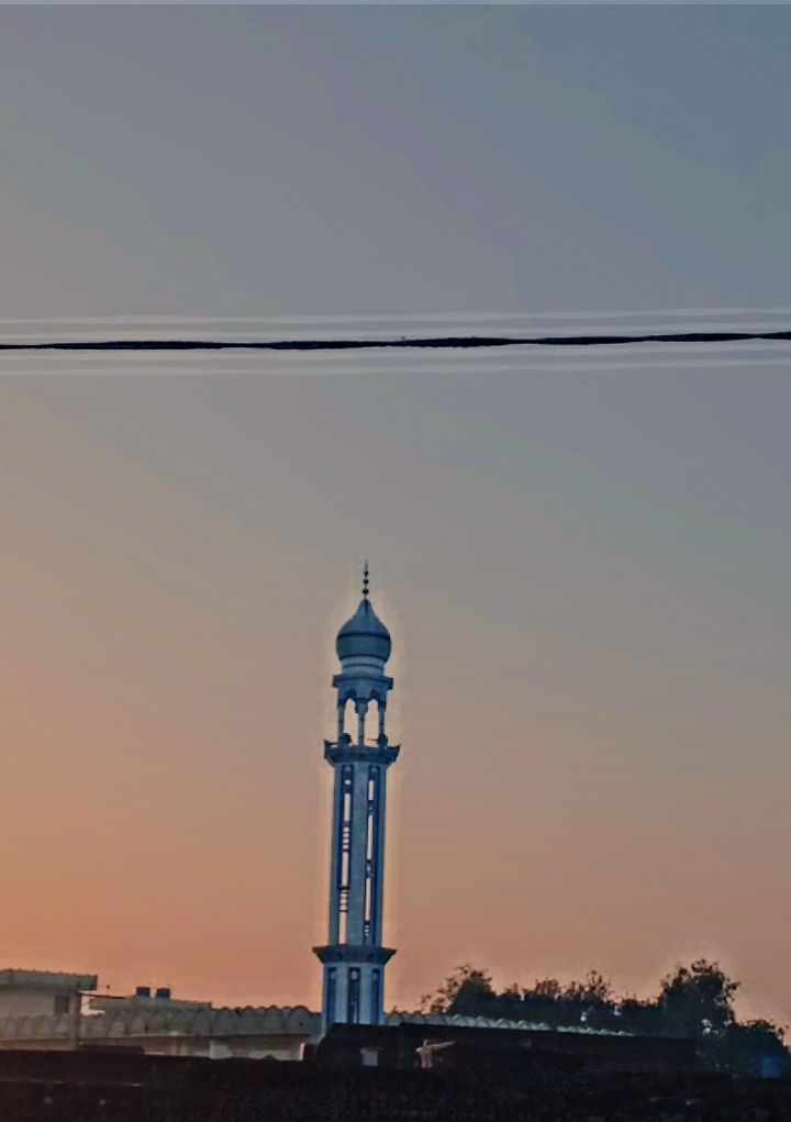 My Journey Towards My Dream: Studies, Serenity, and Spicy Haleem!