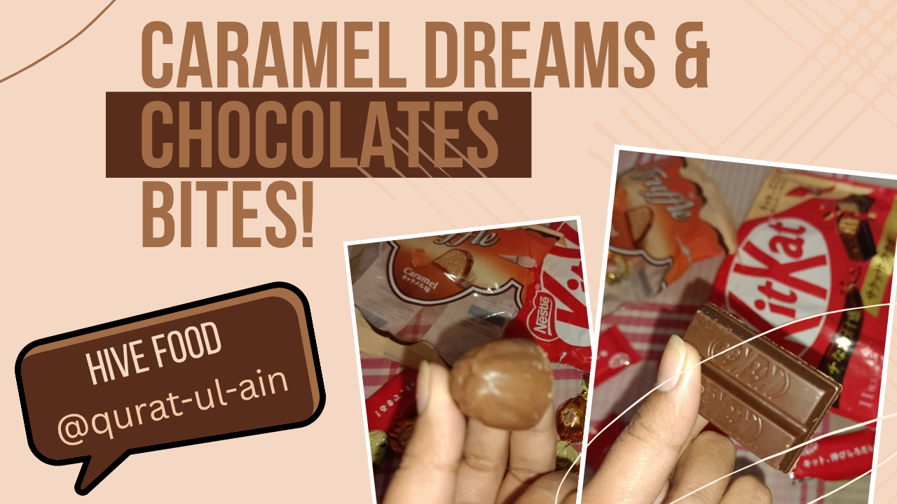 Japanese Chocolates Treats I Loved Today