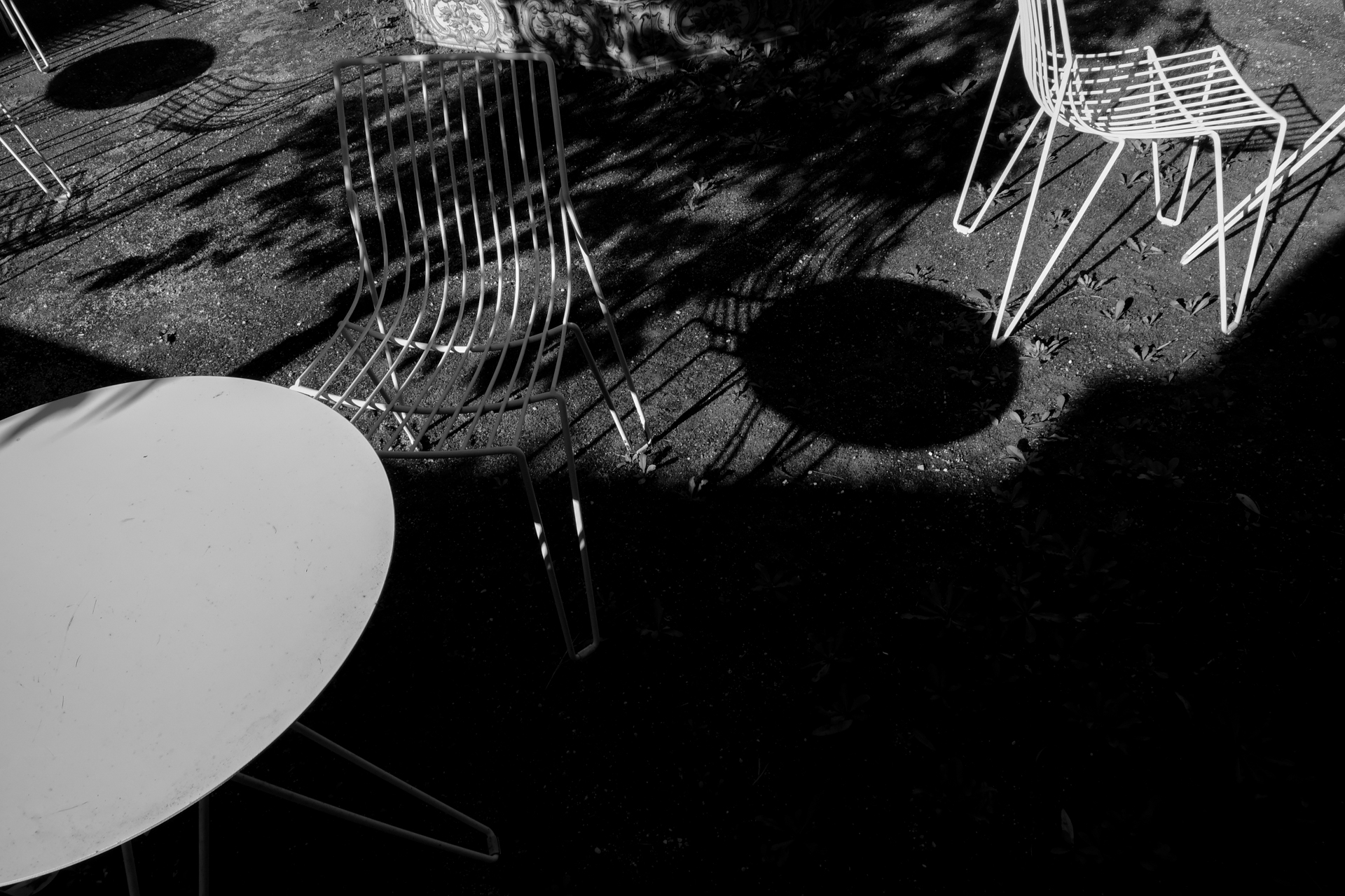 Ovally shaped shadows 📸 Contest ENTRY