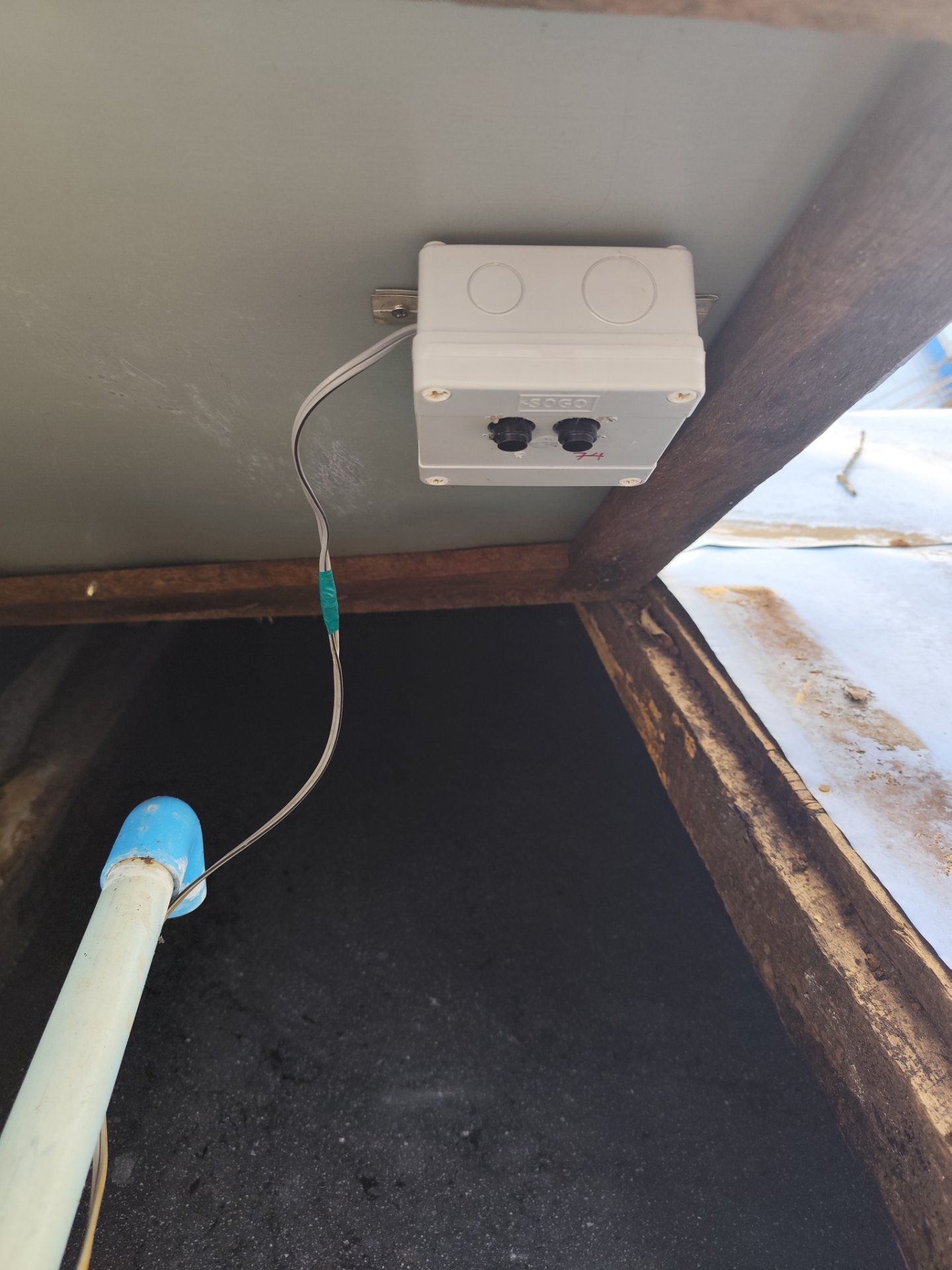 My Actifit Report Card: March 5 2026
