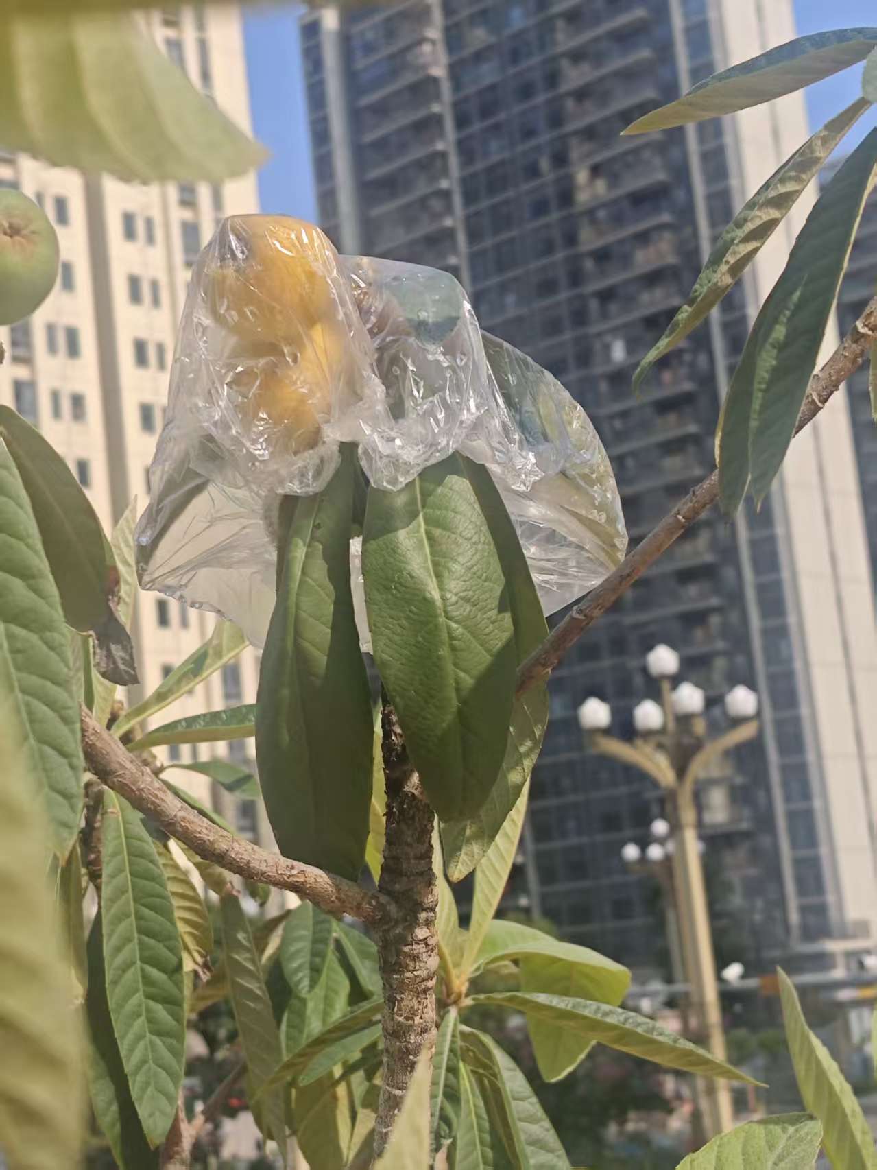 来记个流水账，笑死、、