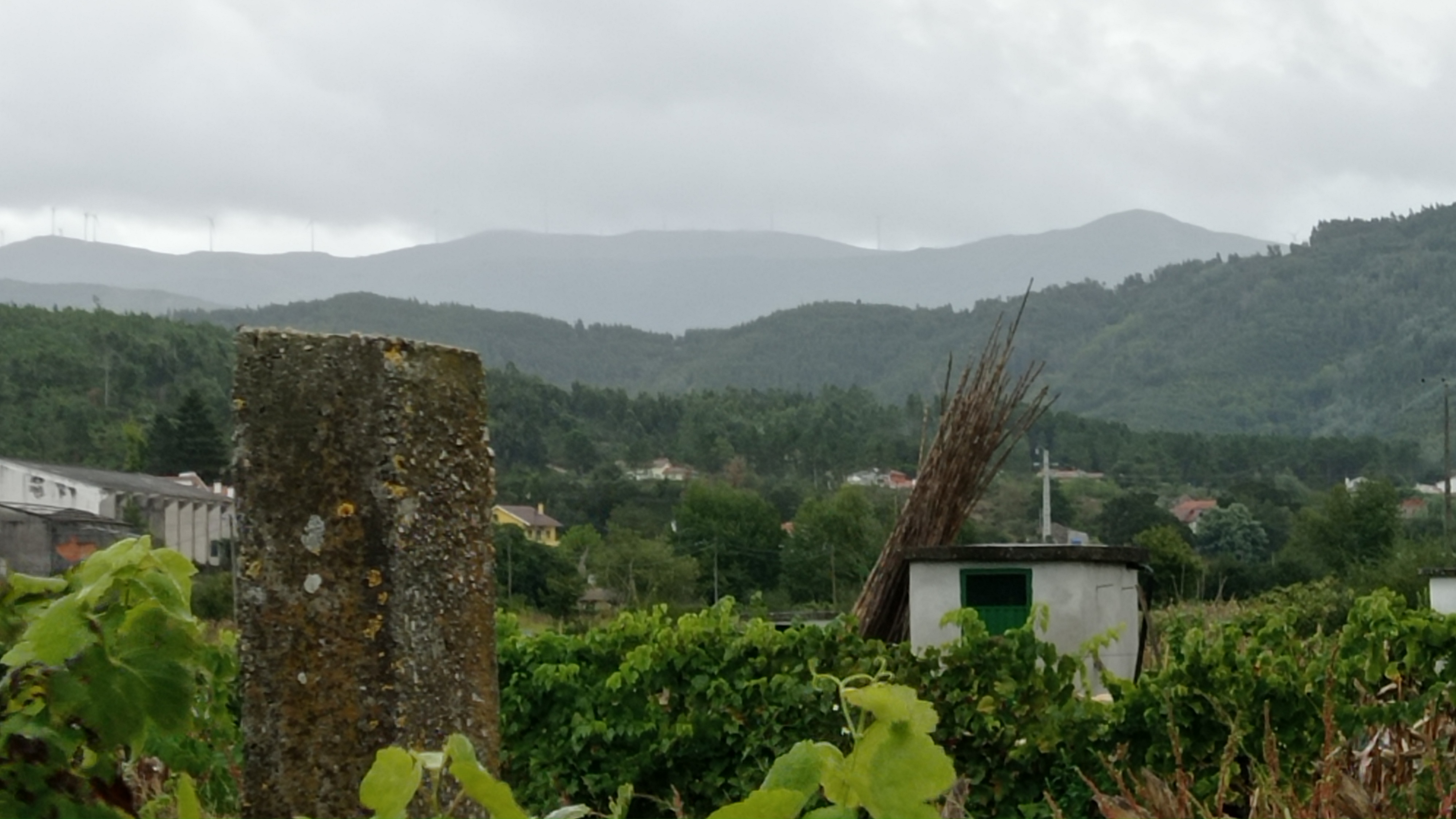 On Changing Seasons plus bonus Feel Good Movie Recommendation