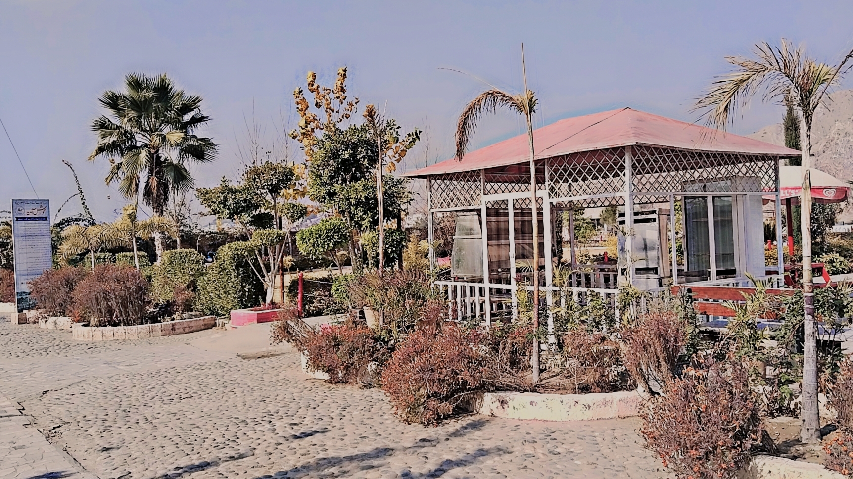 Darya Kinarey Delights: A Wednesday Walk in the Paradise 