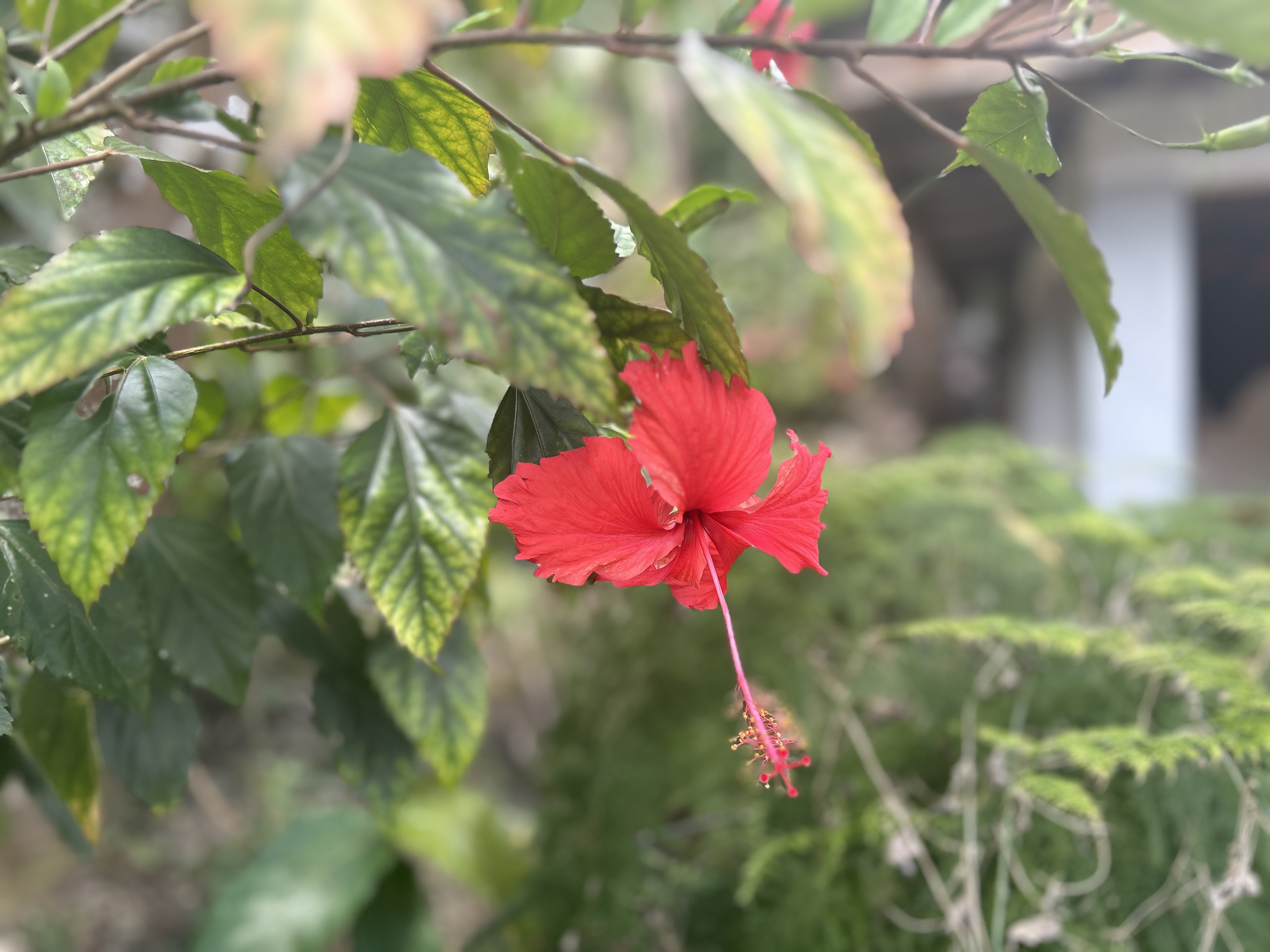 A Morning in the Province