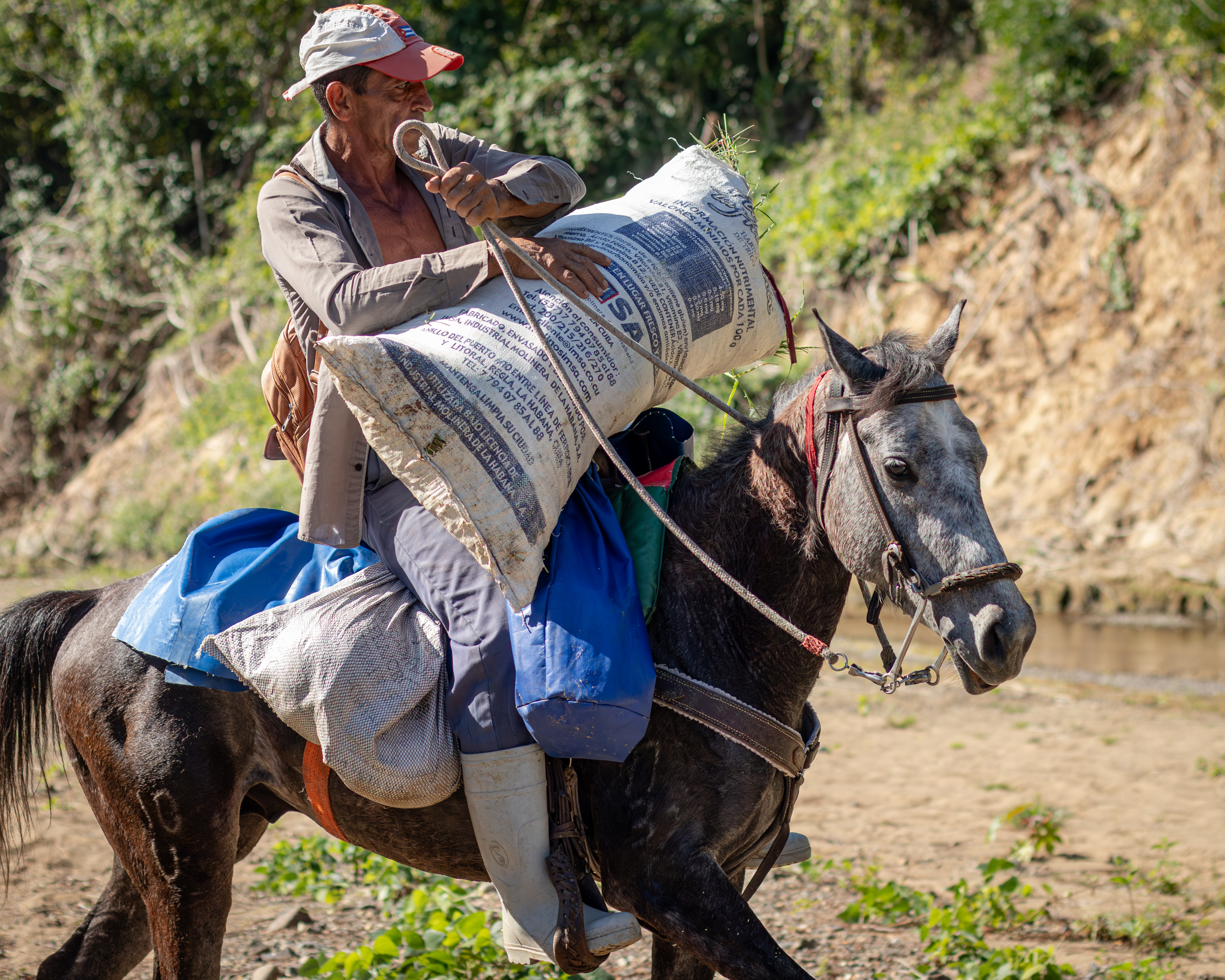 Los Hallazgos del Camino - Discoveries Along the Way [Esp - Eng]