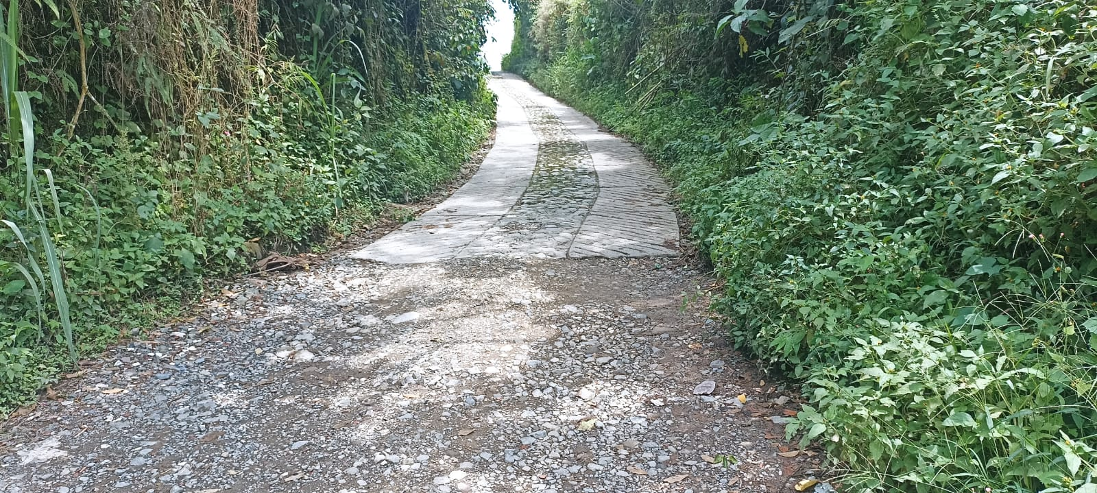 Riding through the Countryside. Phone Photography Contest - #102 (ESP/ENG)