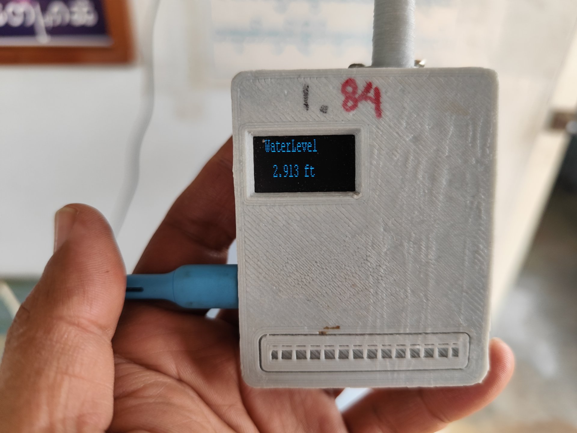 My Actifit Report Card: March 5 2026
