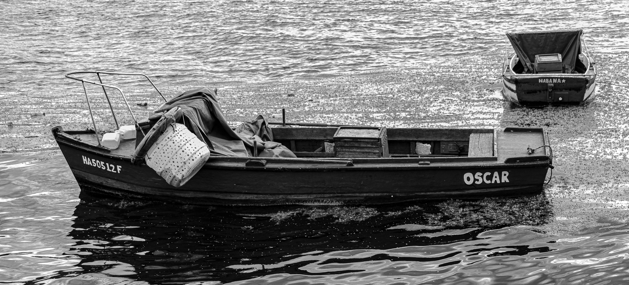 The Bay of Havana / Monomad Challenge [Eng/Esp]