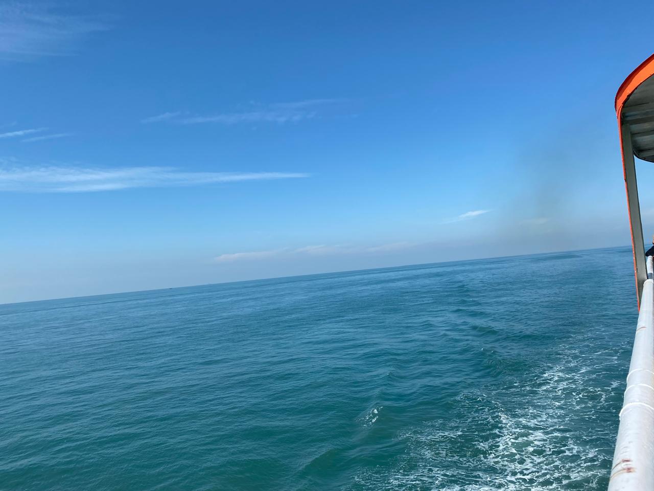 Some dreams wait patiently,  I finally listened......
