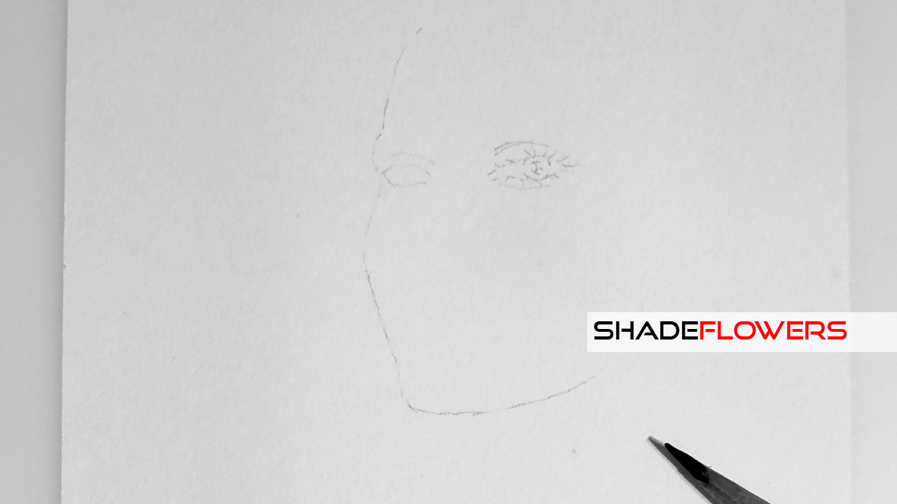 "Life is a line..." (colored)