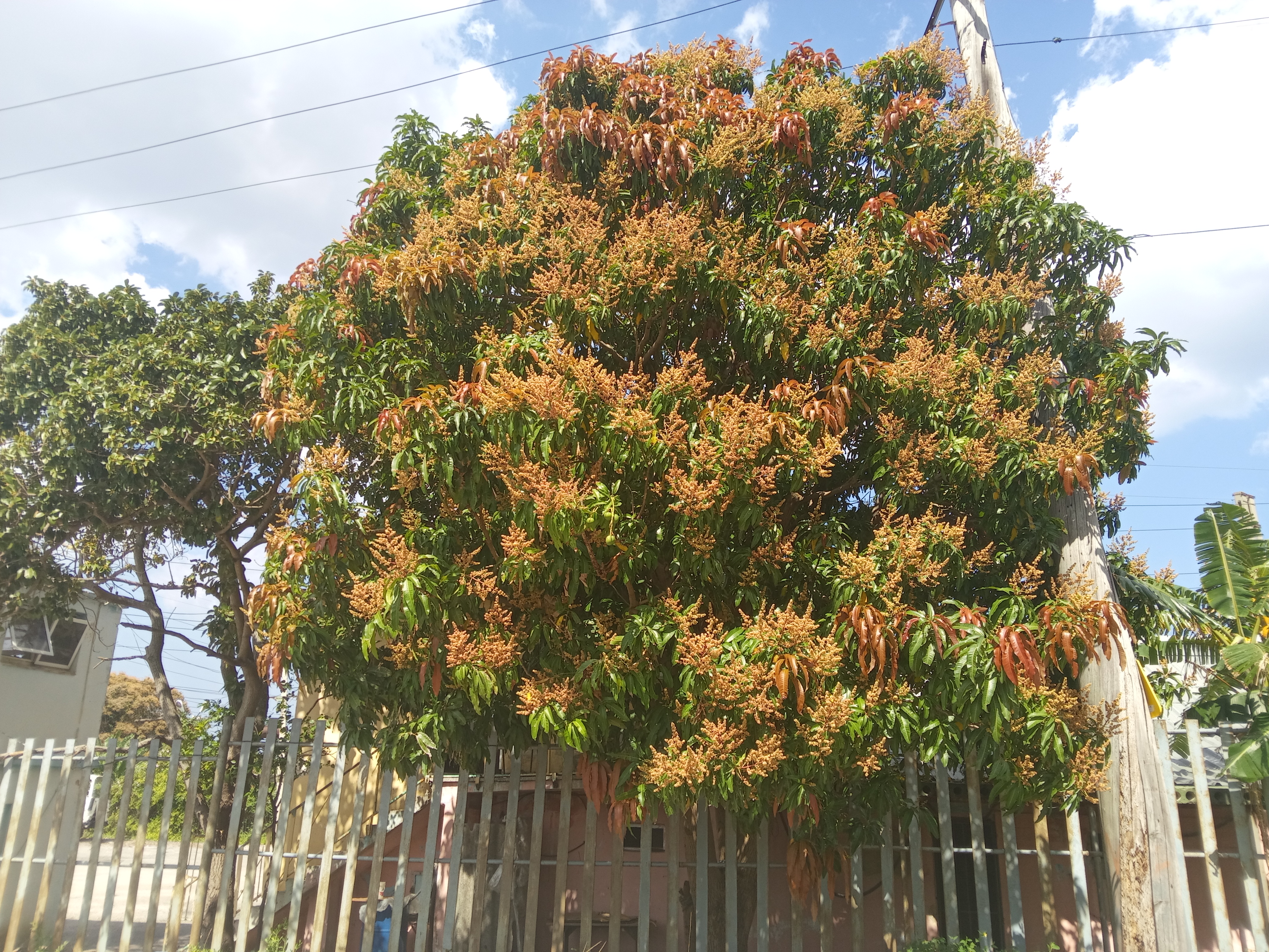 A healthy day/Comida saludable/