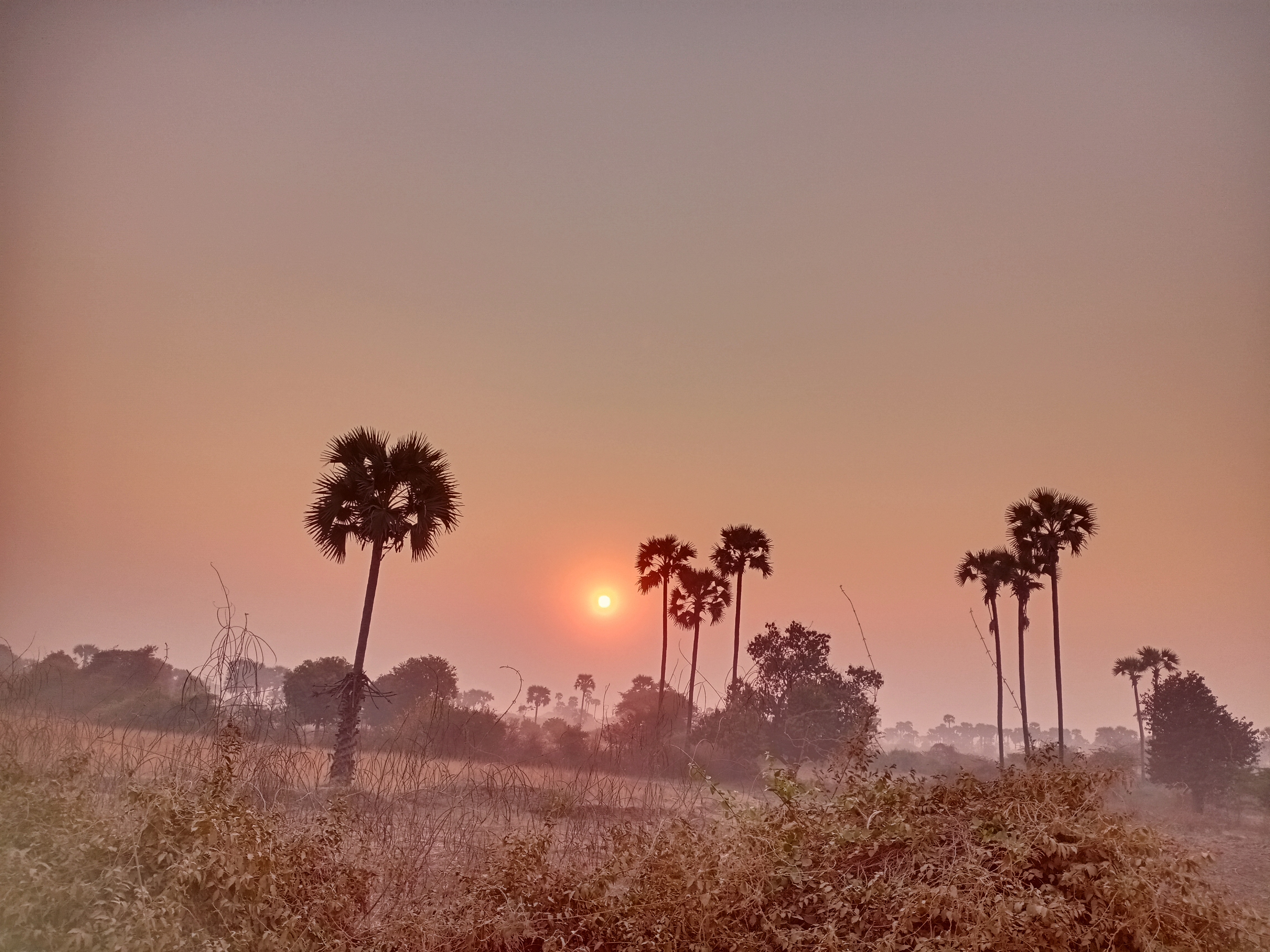 Sunrise Phone Photography Entry 