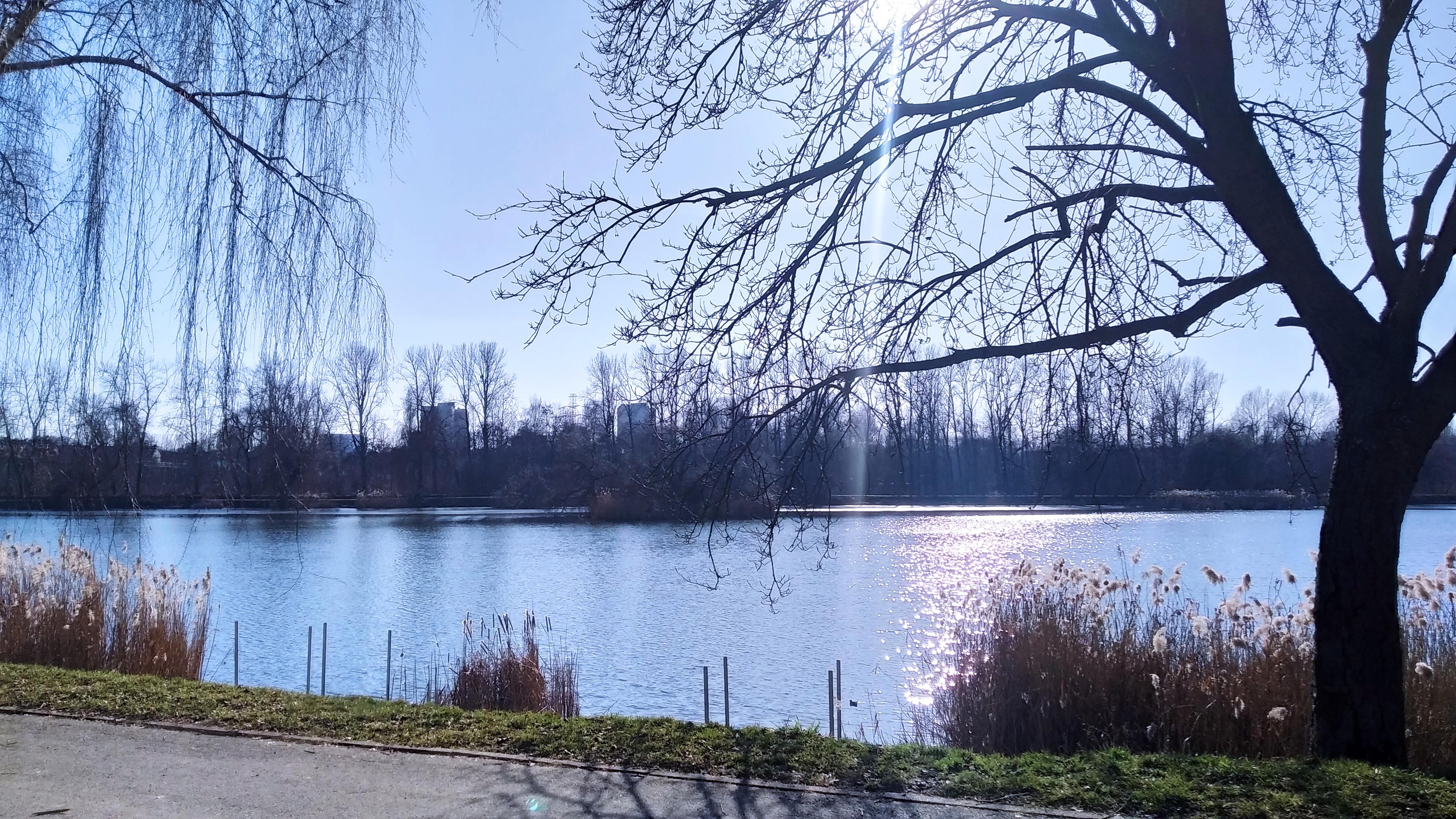 Wiosna nie odpuszcza, słonecznie i ciepło - My Actifit Report Card: March 5 2026