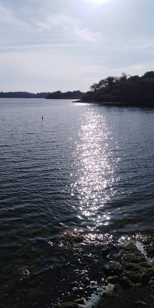 Nature/Naturaleza [Eng/Esp]