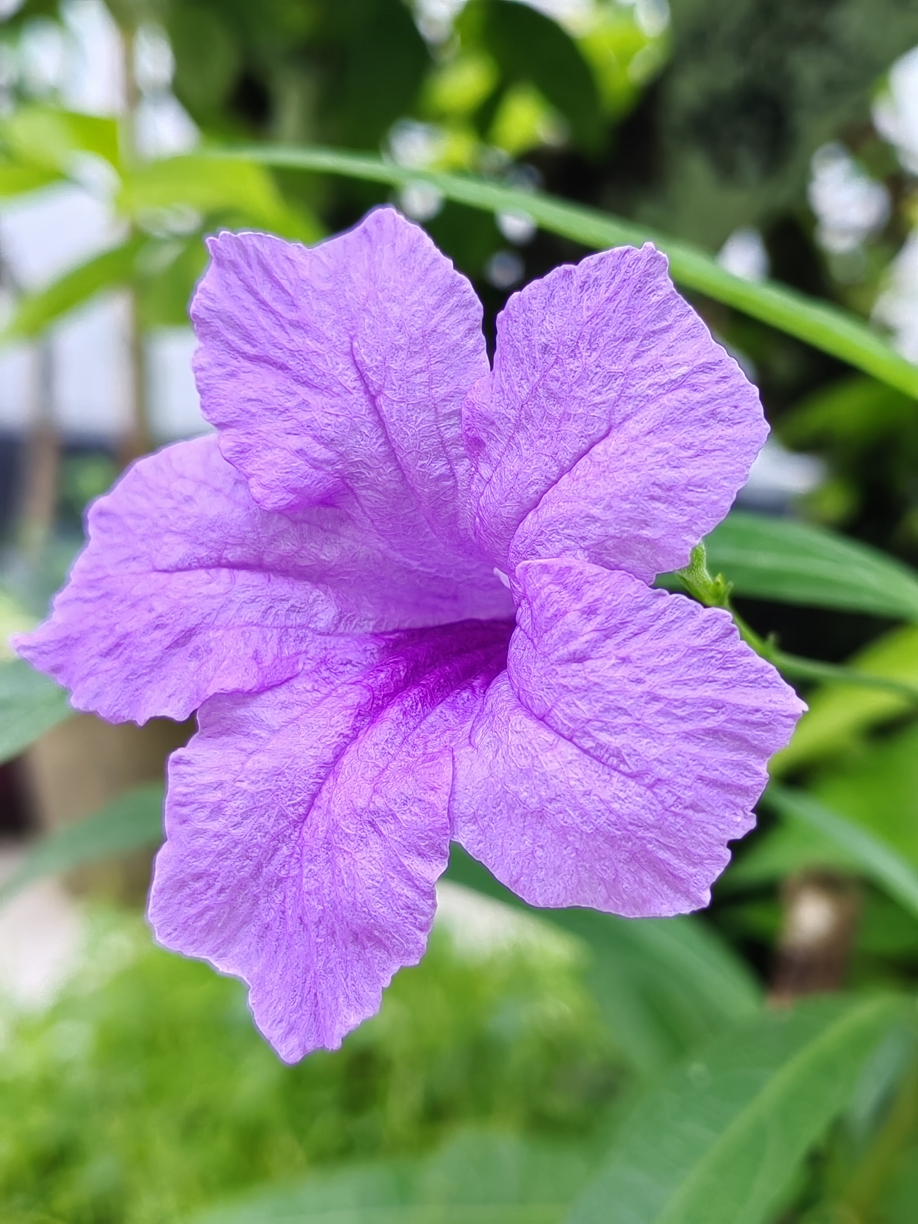 My daily routine and stories with my children..