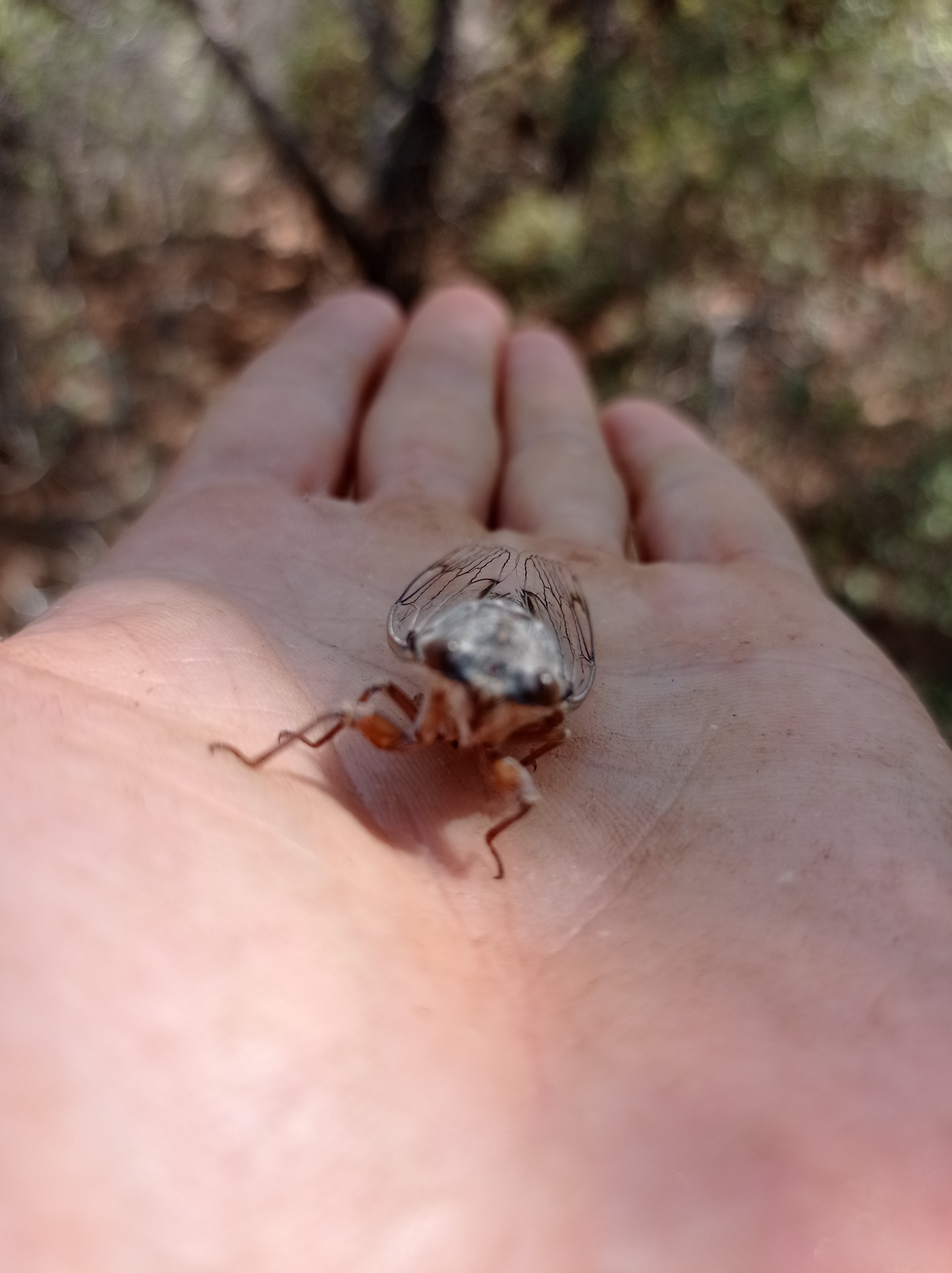 Adım adım çarşambaya yürüyoruz We are walking step by step to Wednesday