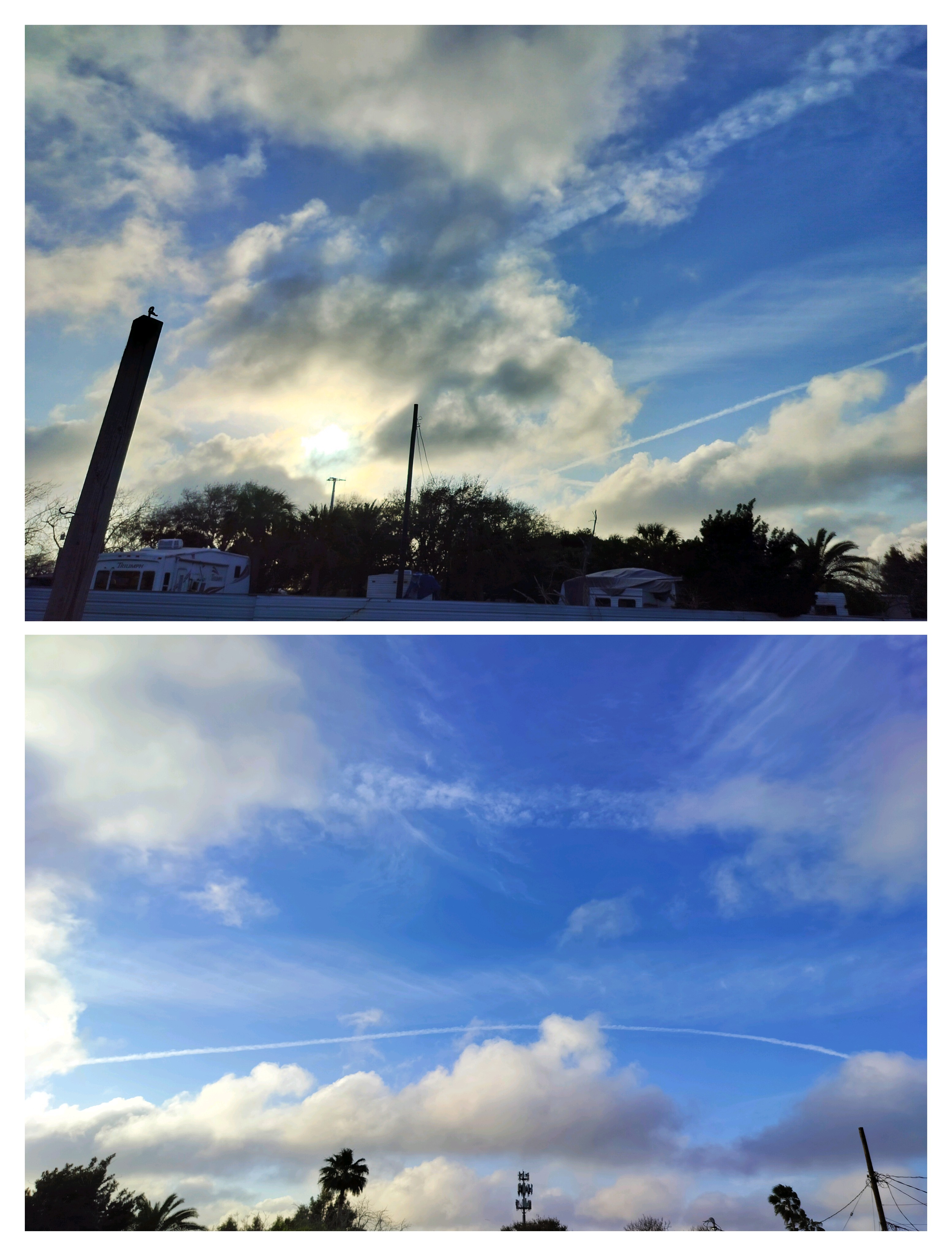 Wednesday Walk: 03.04.2026 - "From around the area"!