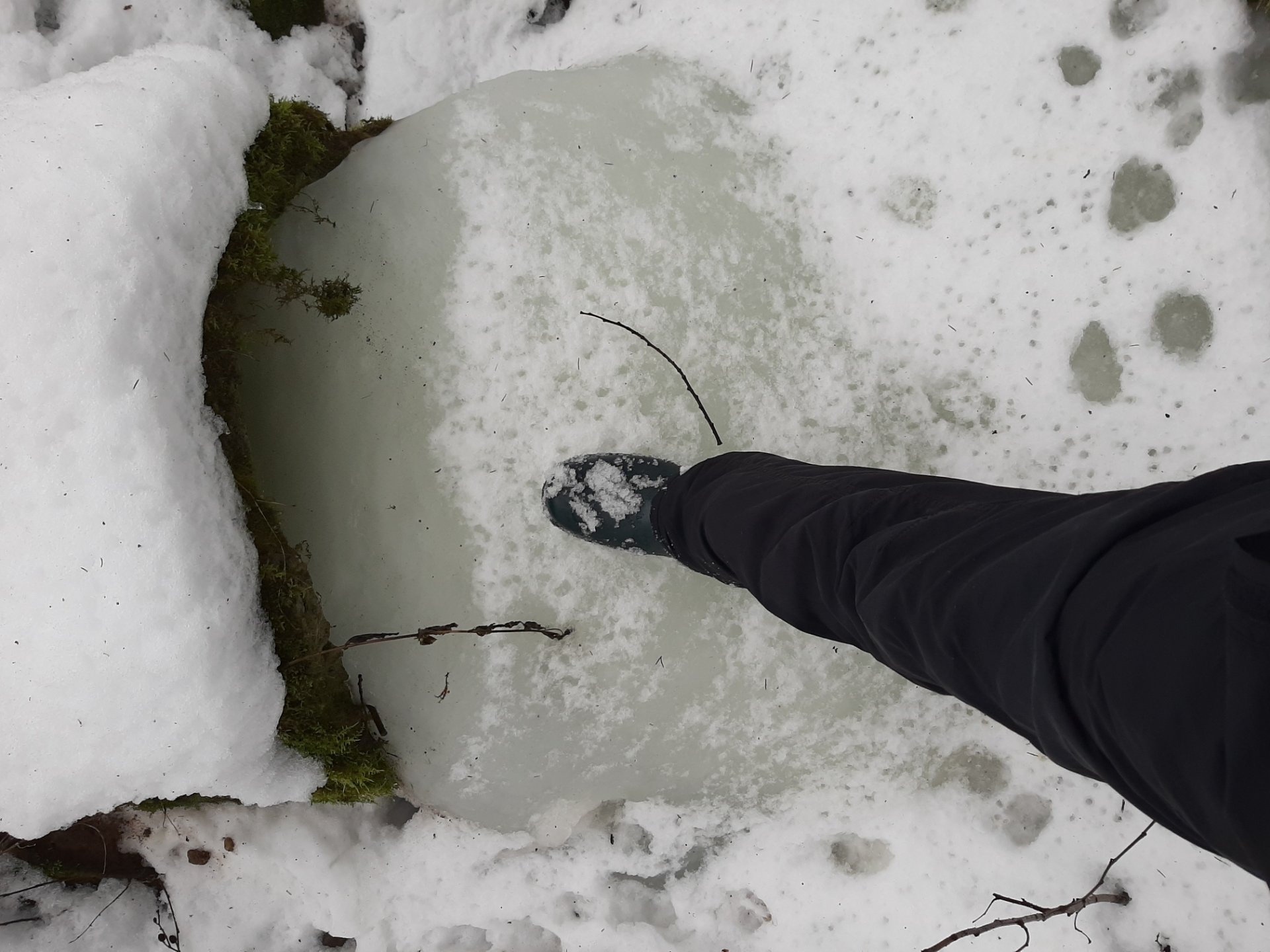 The mud season started quickly