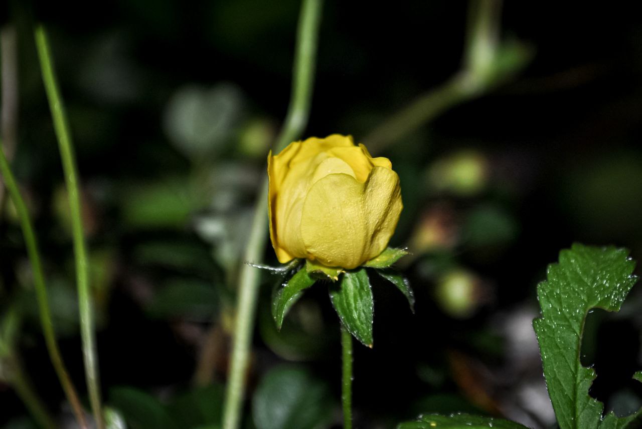 📸  Memories And Emotions Of Warm Days And Evenings  🌿