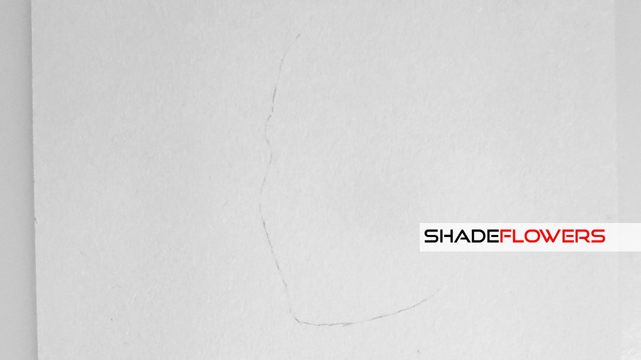 "Life is a line..." (colored)