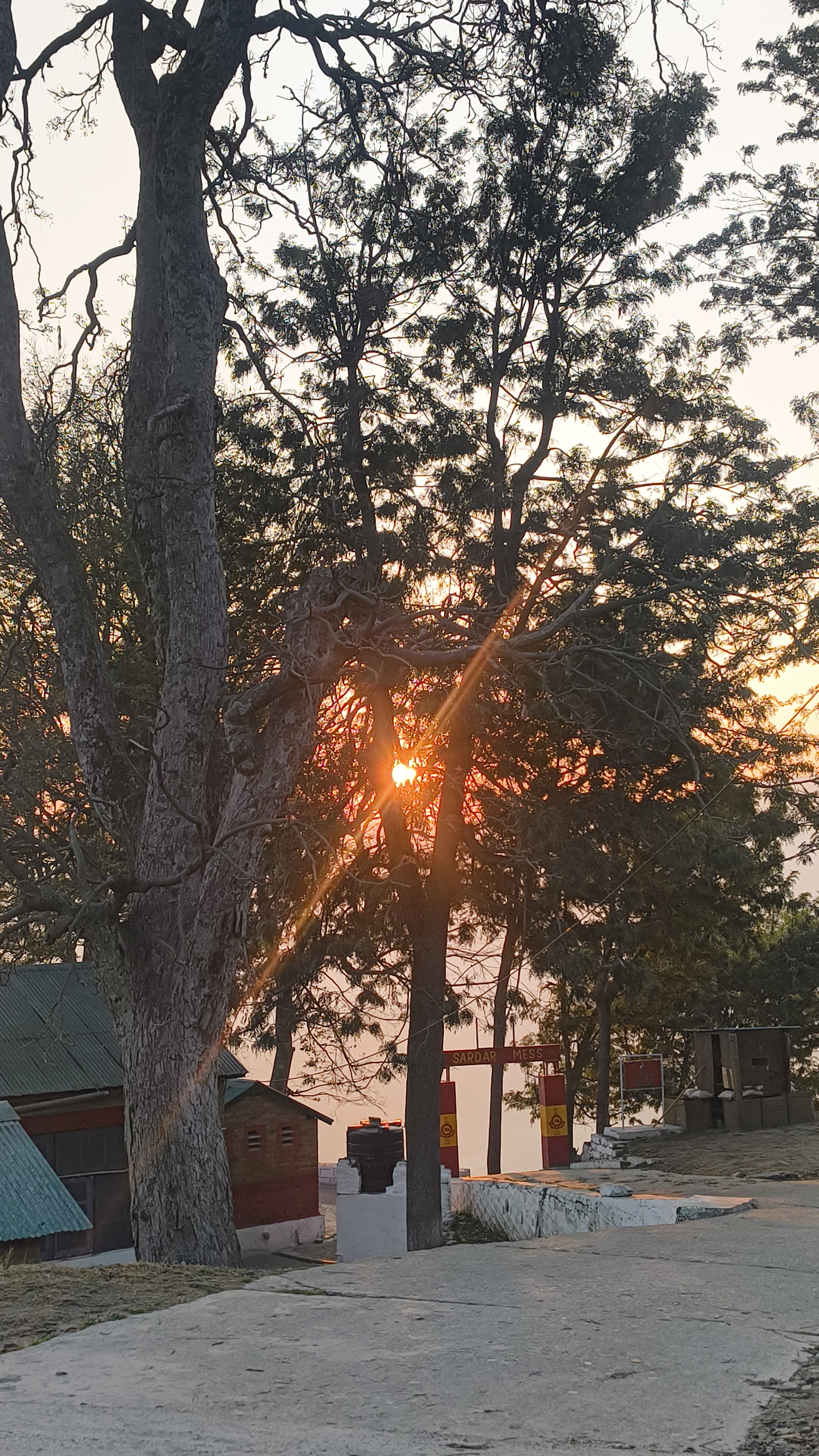 "A Quiet Walk, A Powerful Lesson”