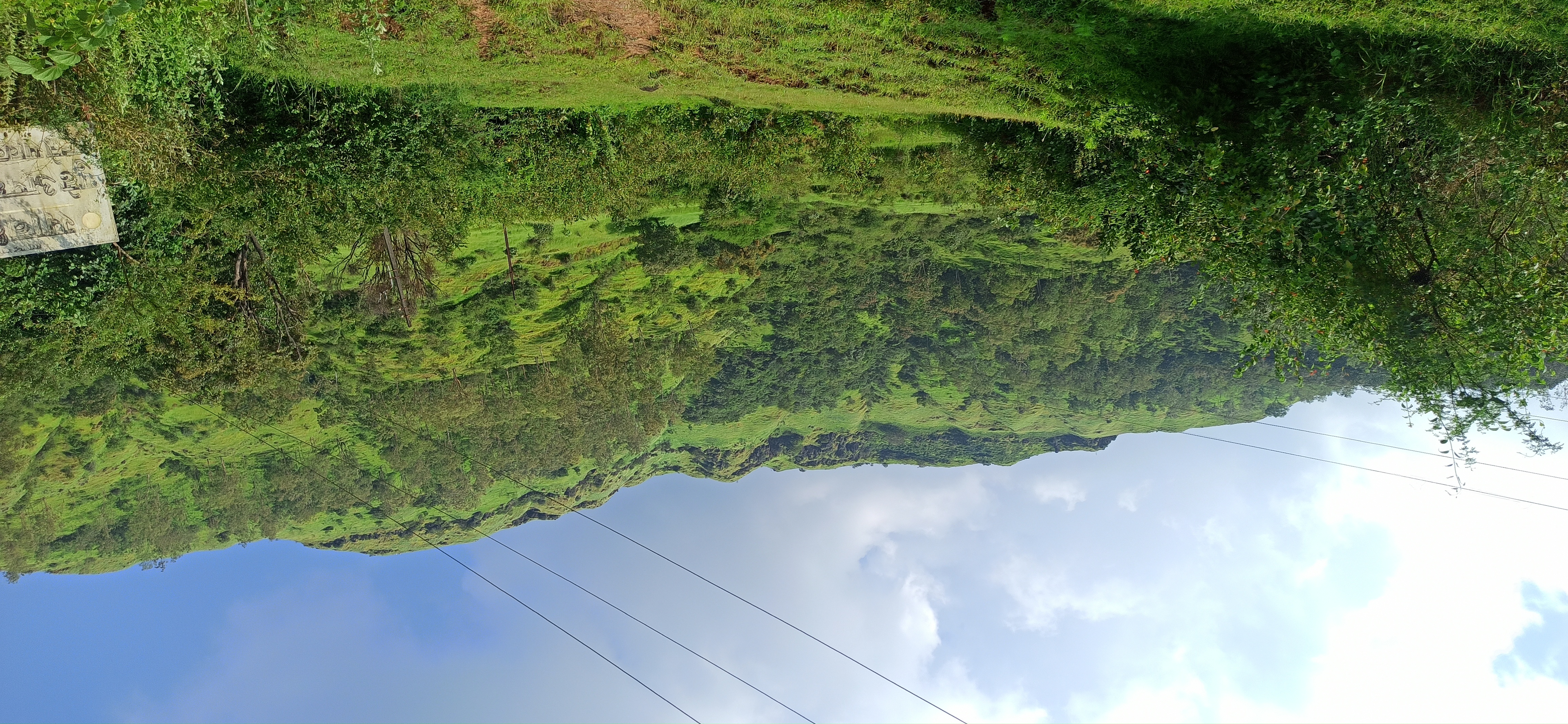 Travaing With My Friend go to His Village.