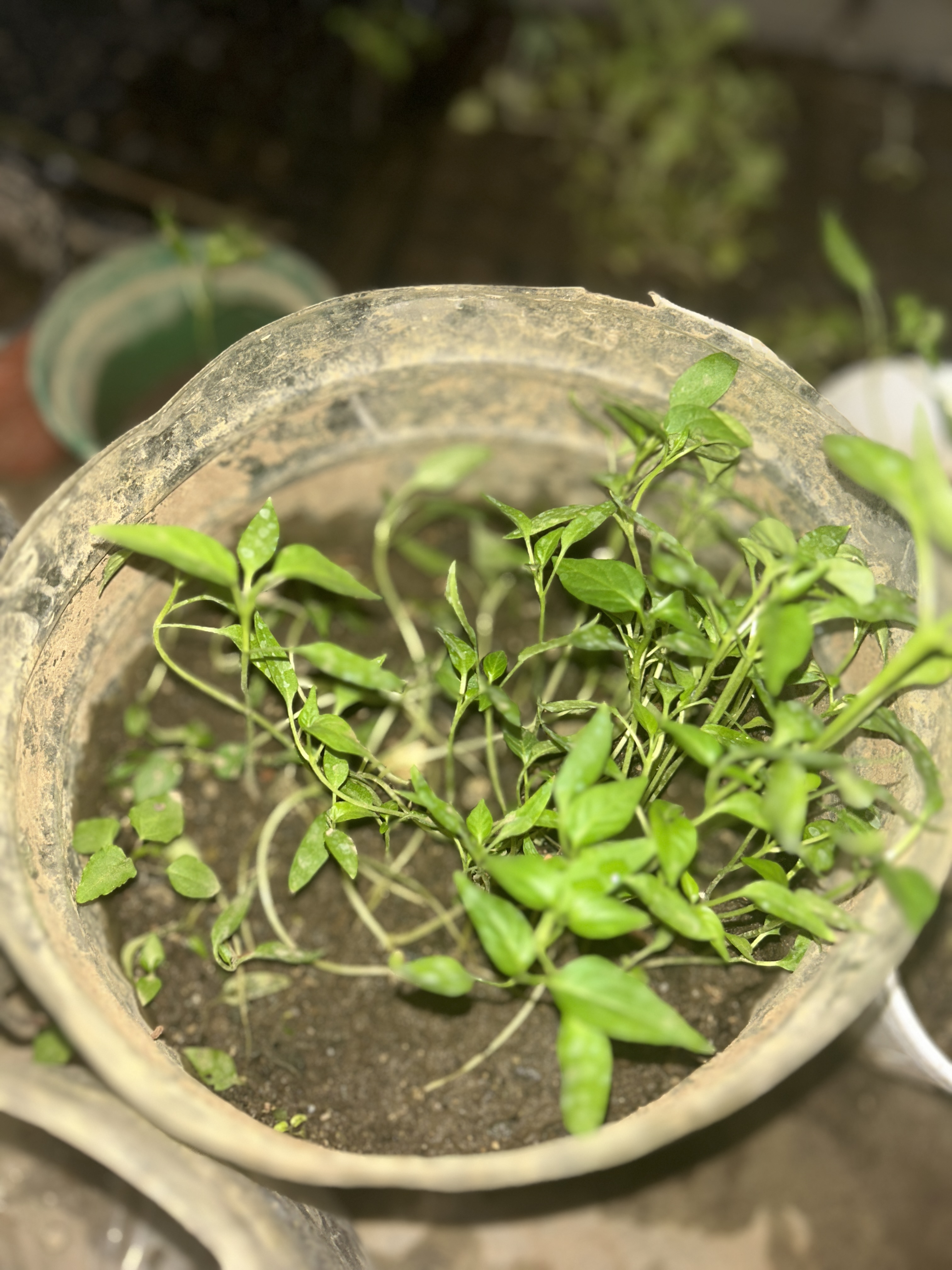 Do not be afraid to accept change. 