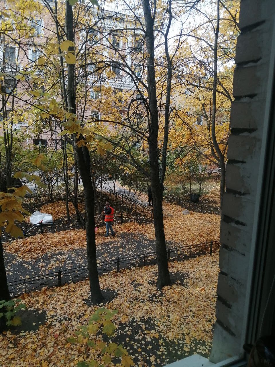 Вид из окна, цвета Санкт-Петербурга и немного магии