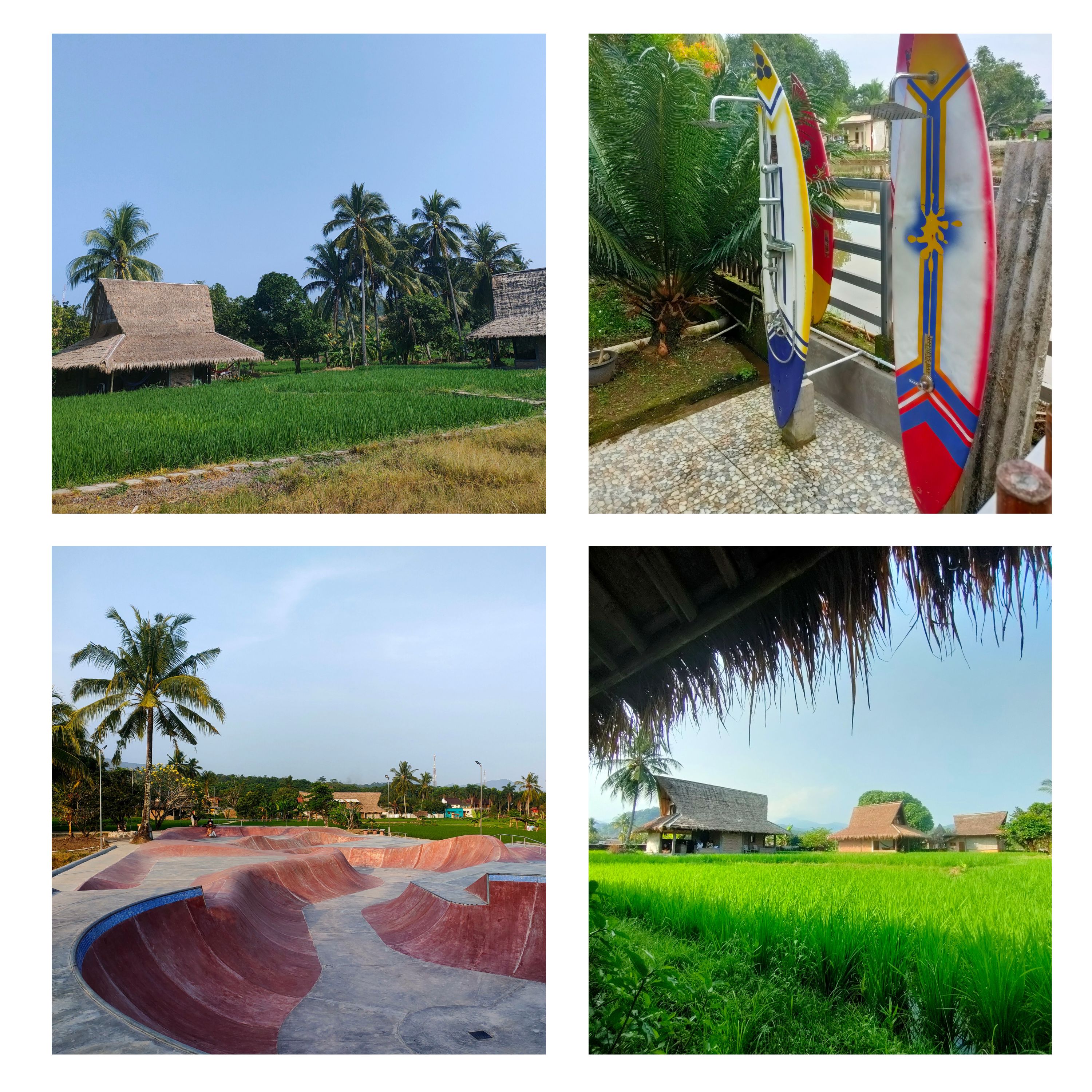 Surfing, Cottages with Green Views, and a Skatepark in the Middle of Rice Fields — A Hidden Gem in West Java, Indonesia