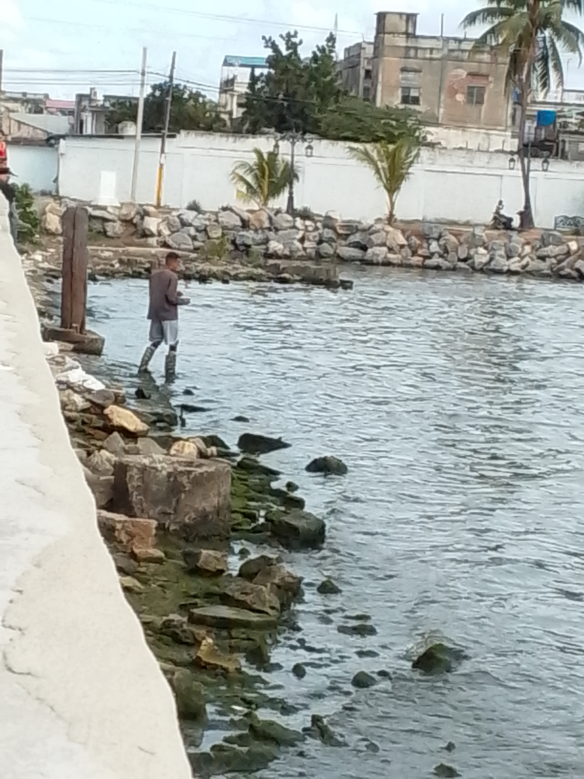 El latido de la Bahía de Cienfuegos: Naturaleza, Historia y Cultura/The Heartbeat of Cienfuegos Bay: Nature, History, and Culture (ESP-ENG)