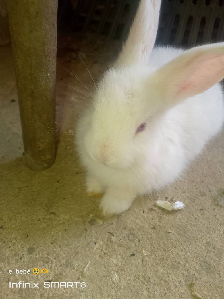 Phone Photography Contest Round -100 