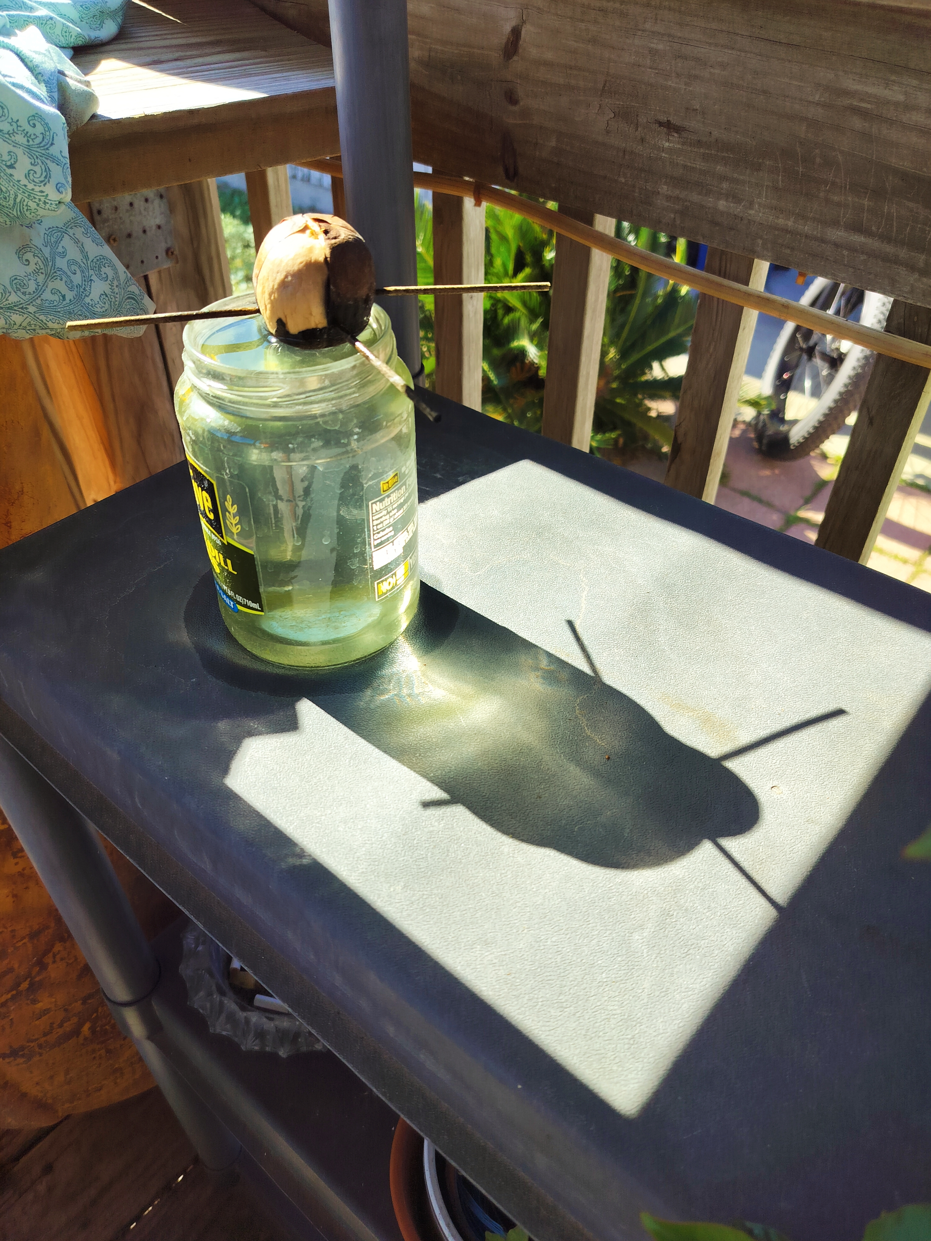 Shadow Hunters SMASh 417, "Avocado Seed Shadows"!