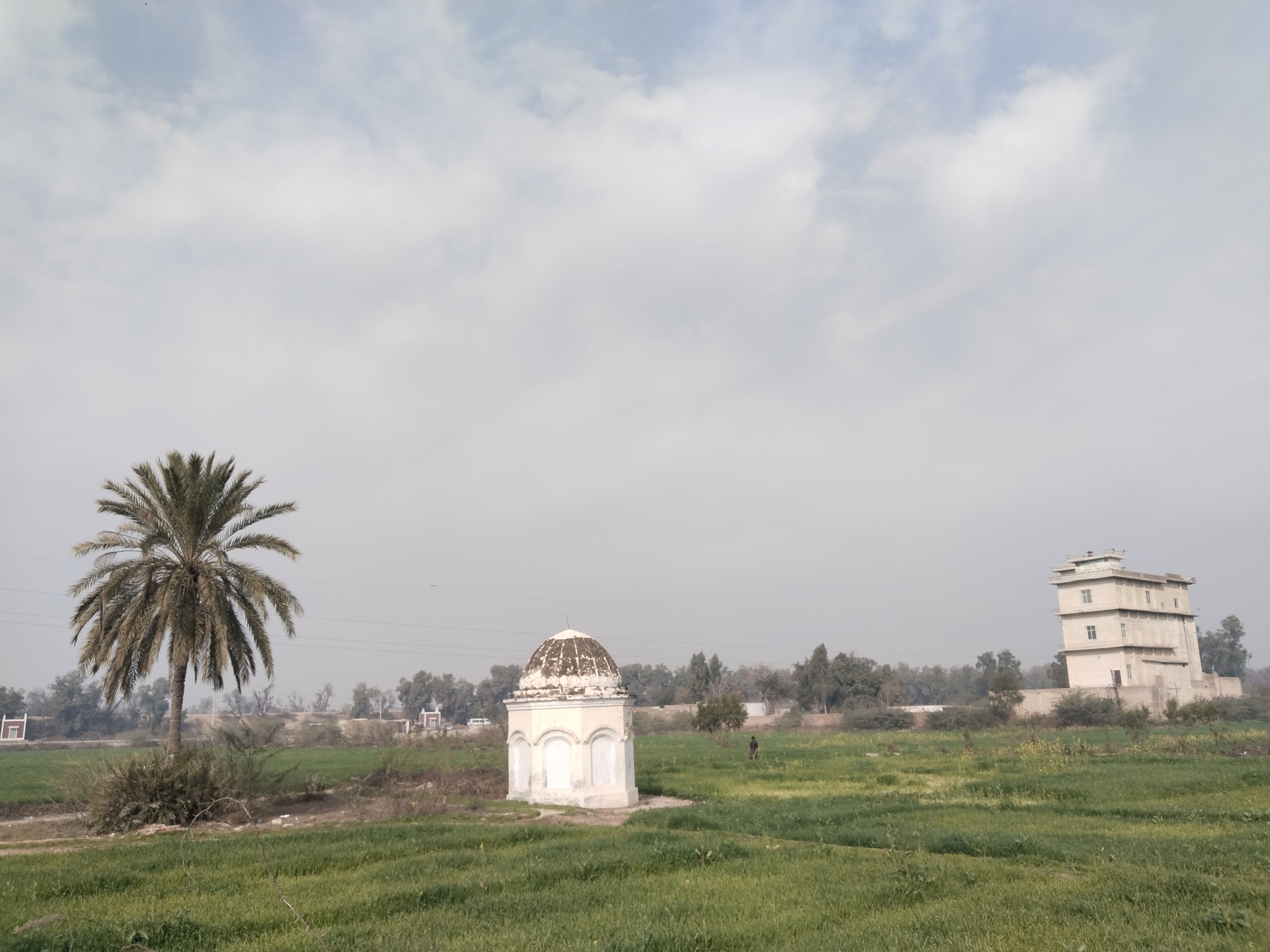 From Ancient Tomb to Blooming Mustard Fields | My Refreshing Photo Walk |
My Actifit Report Card: February 9 2026