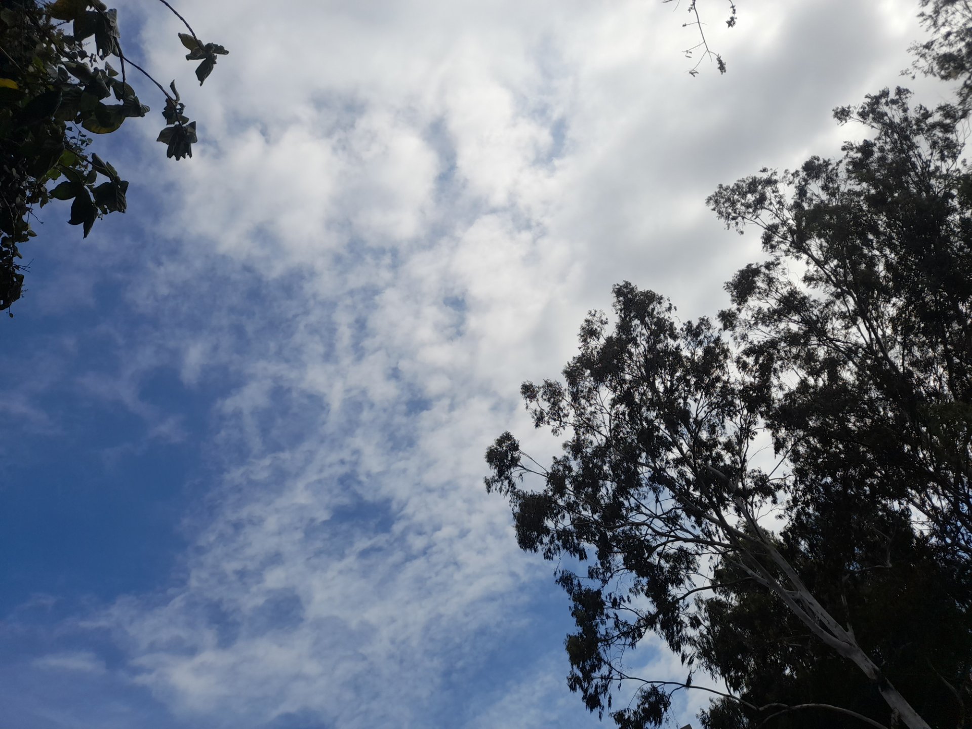 Mirador la pantalla, un lugar mágico./ Mirador la pantalla, a magical place. ESP/ENG