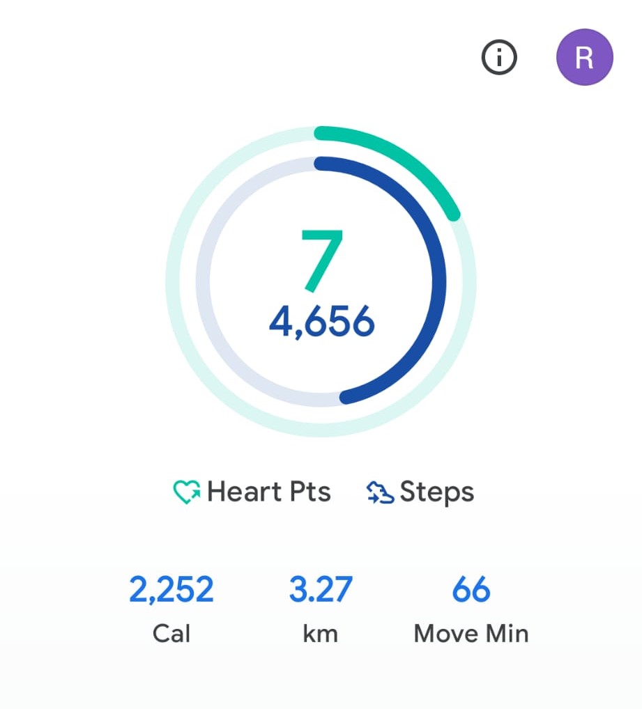 My Daily Activity Report: March 13 2026