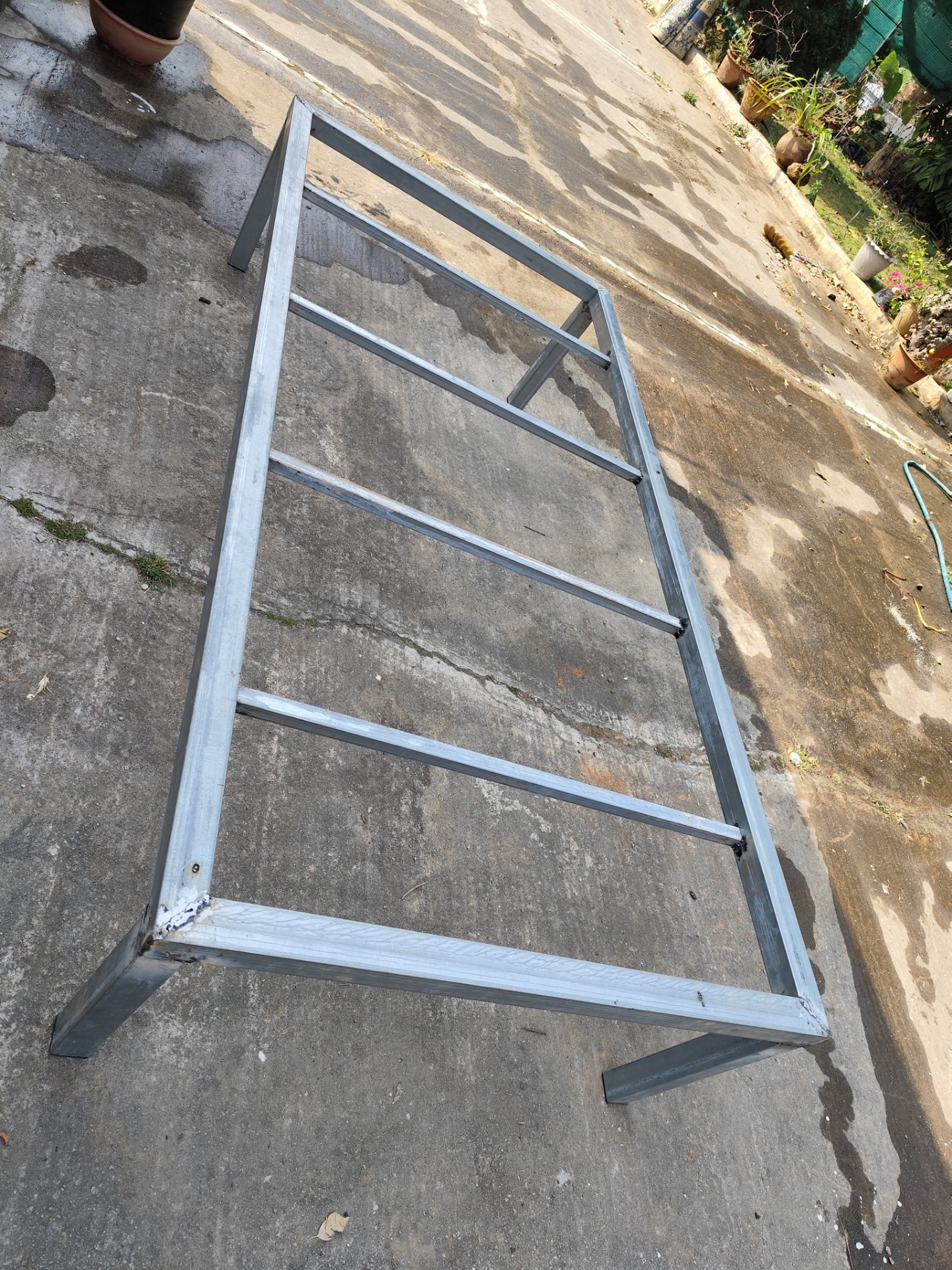 My Actifit Report Card: March 3 2026