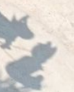 👉 Guess The Shadow Contest - Round 86