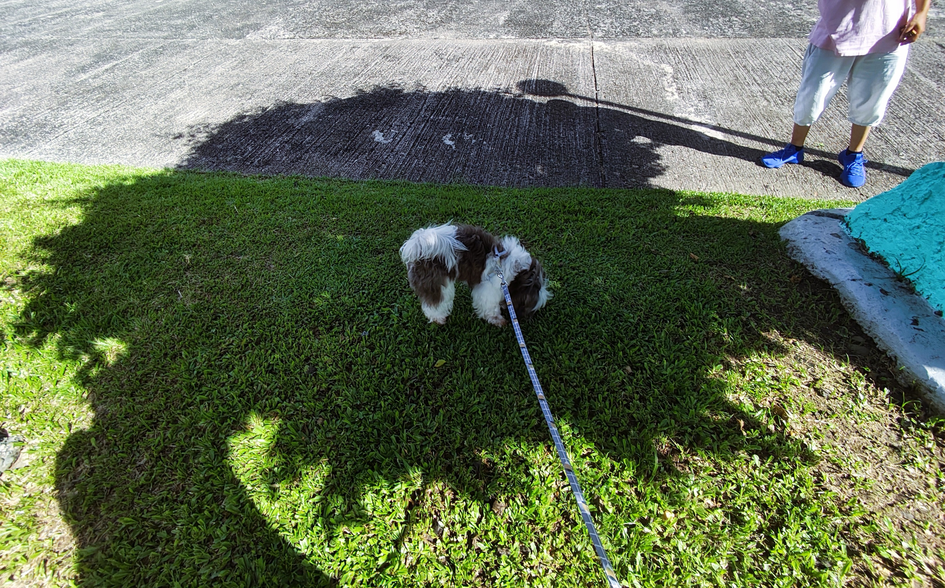 Fun Hunts at the Park