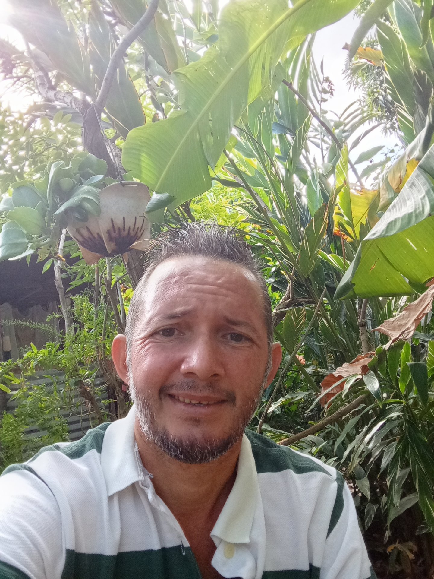 The #GardenJournal Challenge "February Monthly"