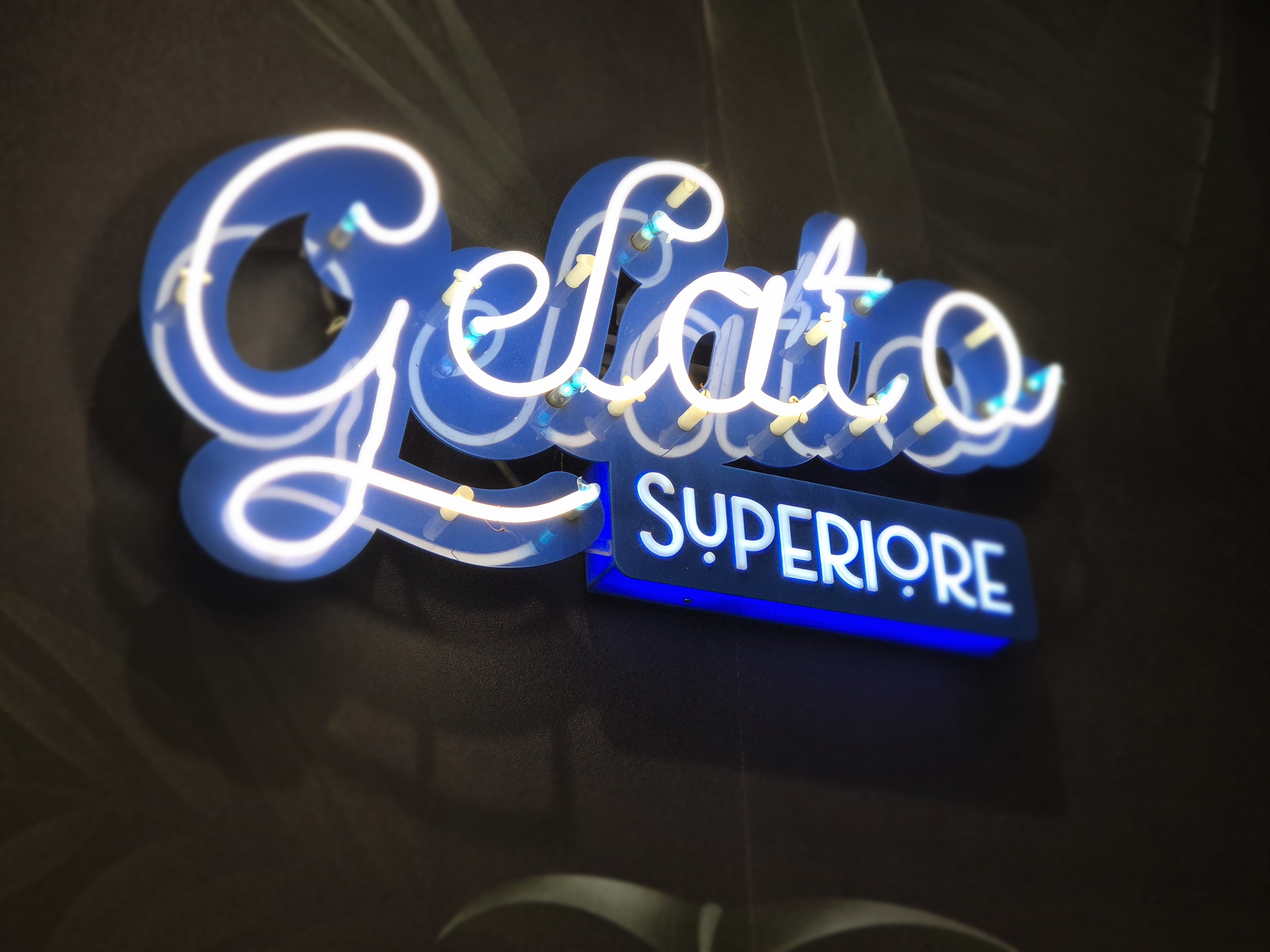 One beautiful street, a nearby park and a walk next to the pigeons