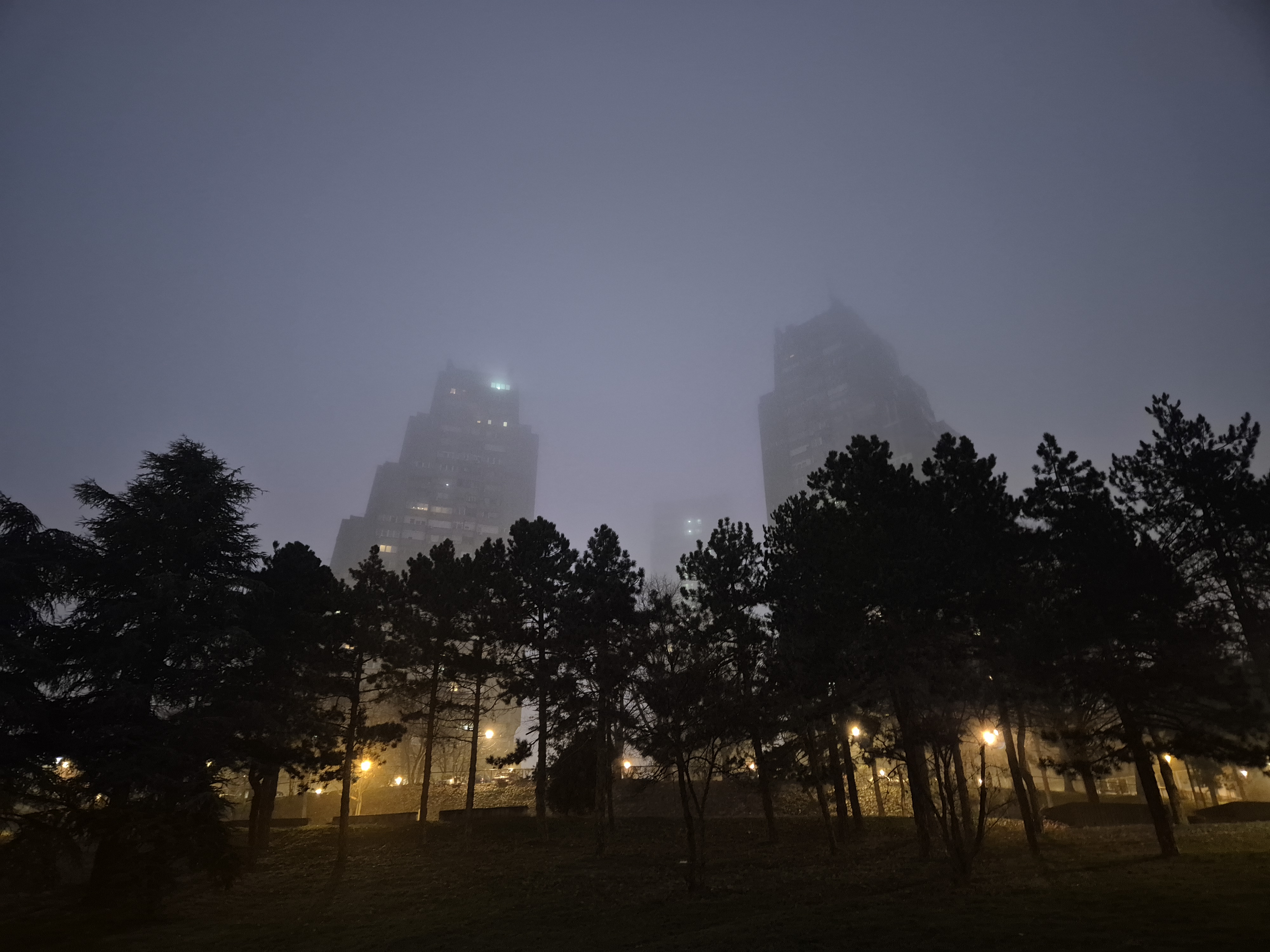Walking on Wednesdays, before dawn and in the winter sun