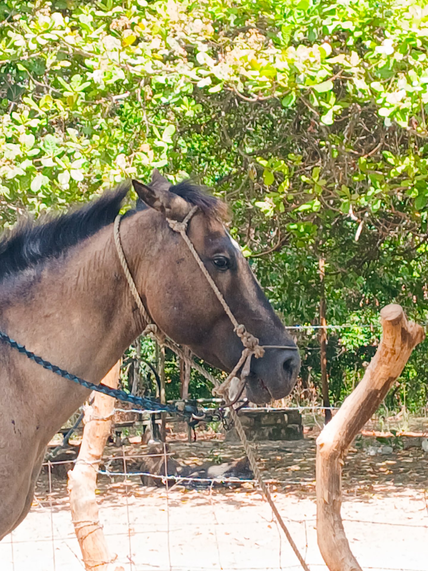 Weekend in the countryside