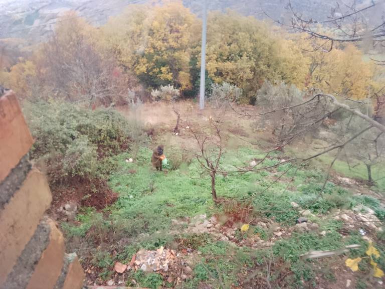 Clearing Paths & Fixing Leaks