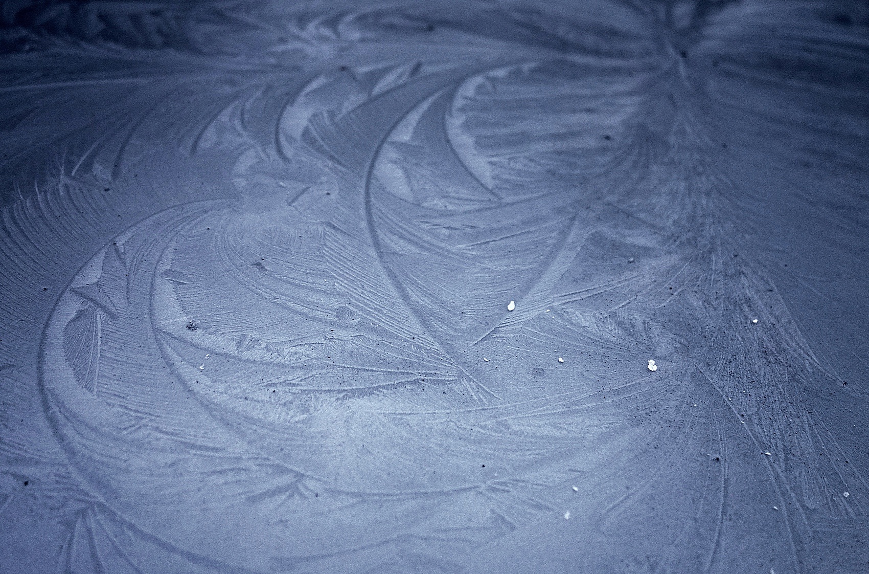 Qurator's Photo Quest | Patterns. Морозные узоры - Frost patterns