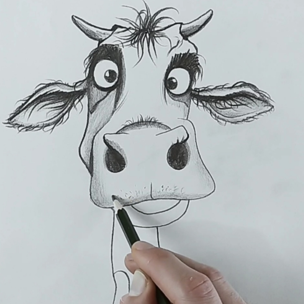 Cow drawing tutorial ـ step by step