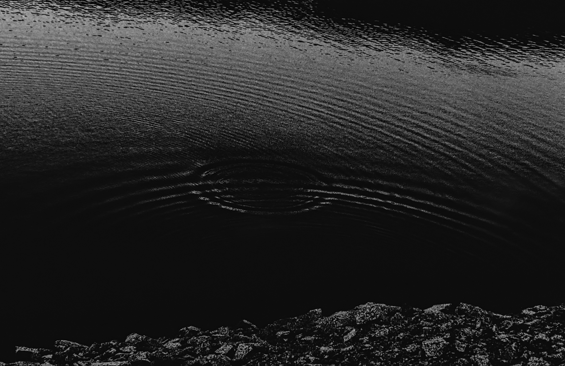 7 Photopoems ✍️ 📷