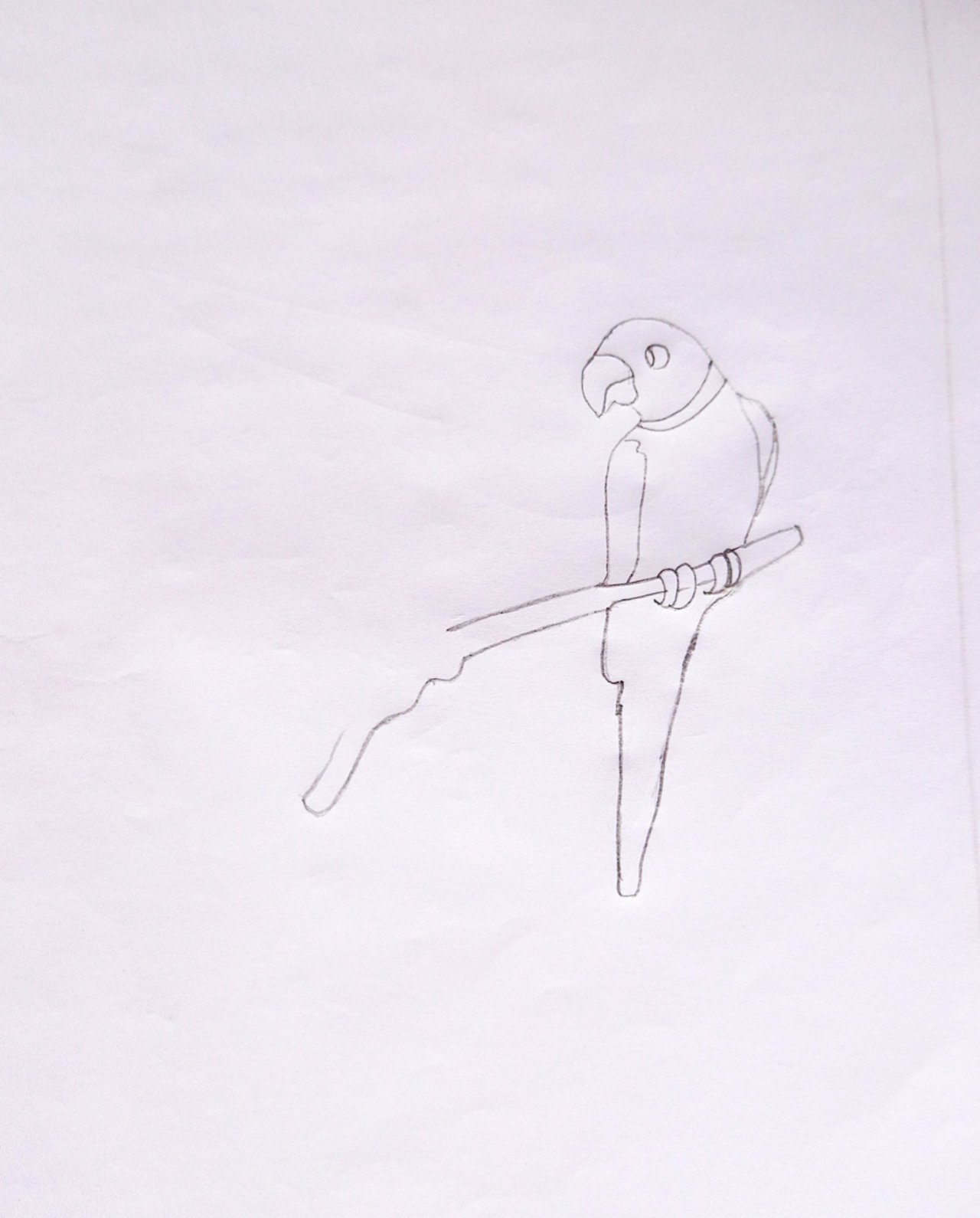 How To Draw A Bird: A Simple Tutorial | Caribu